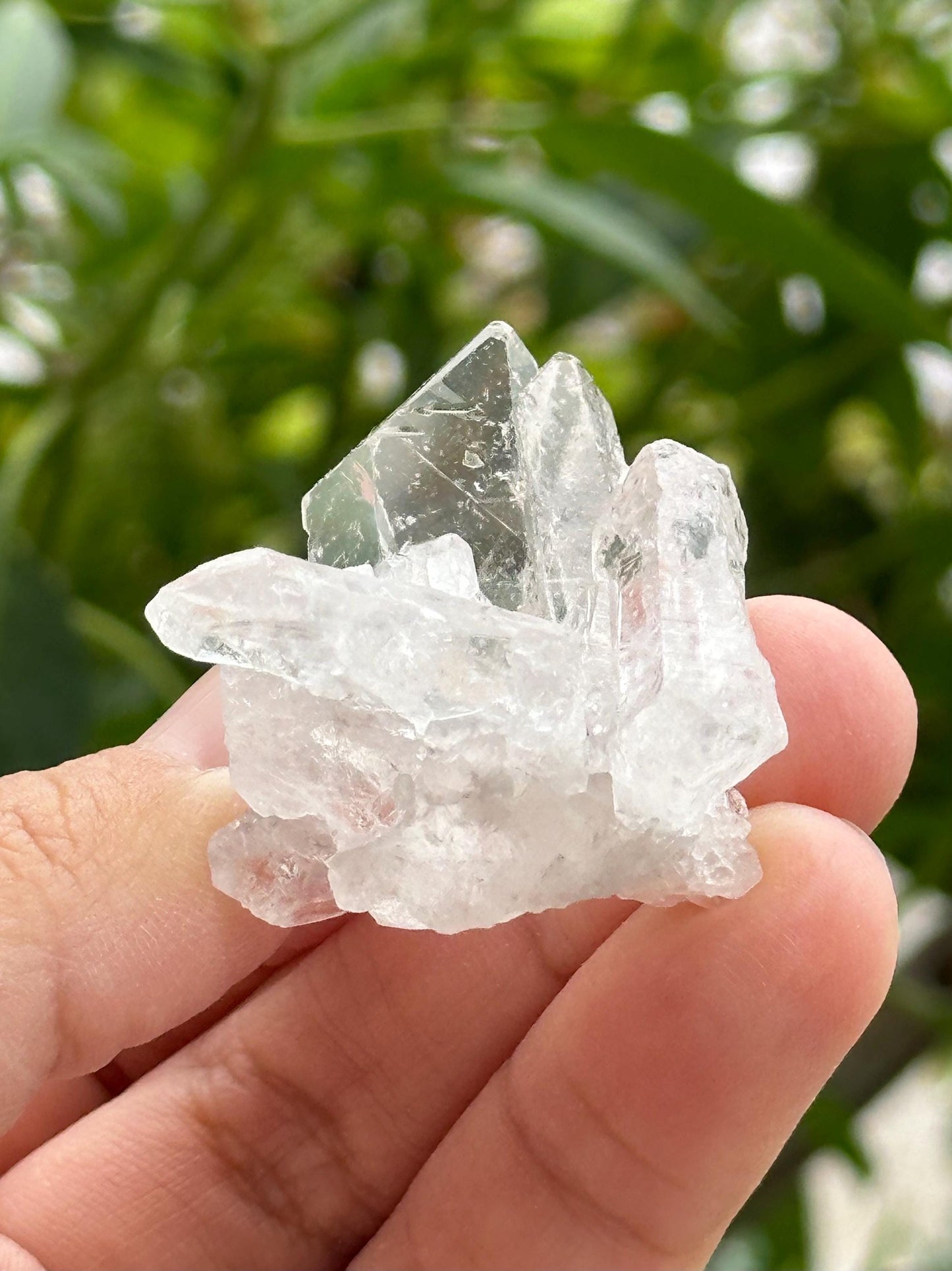 Small Clear Quartz Cluster from Brazil