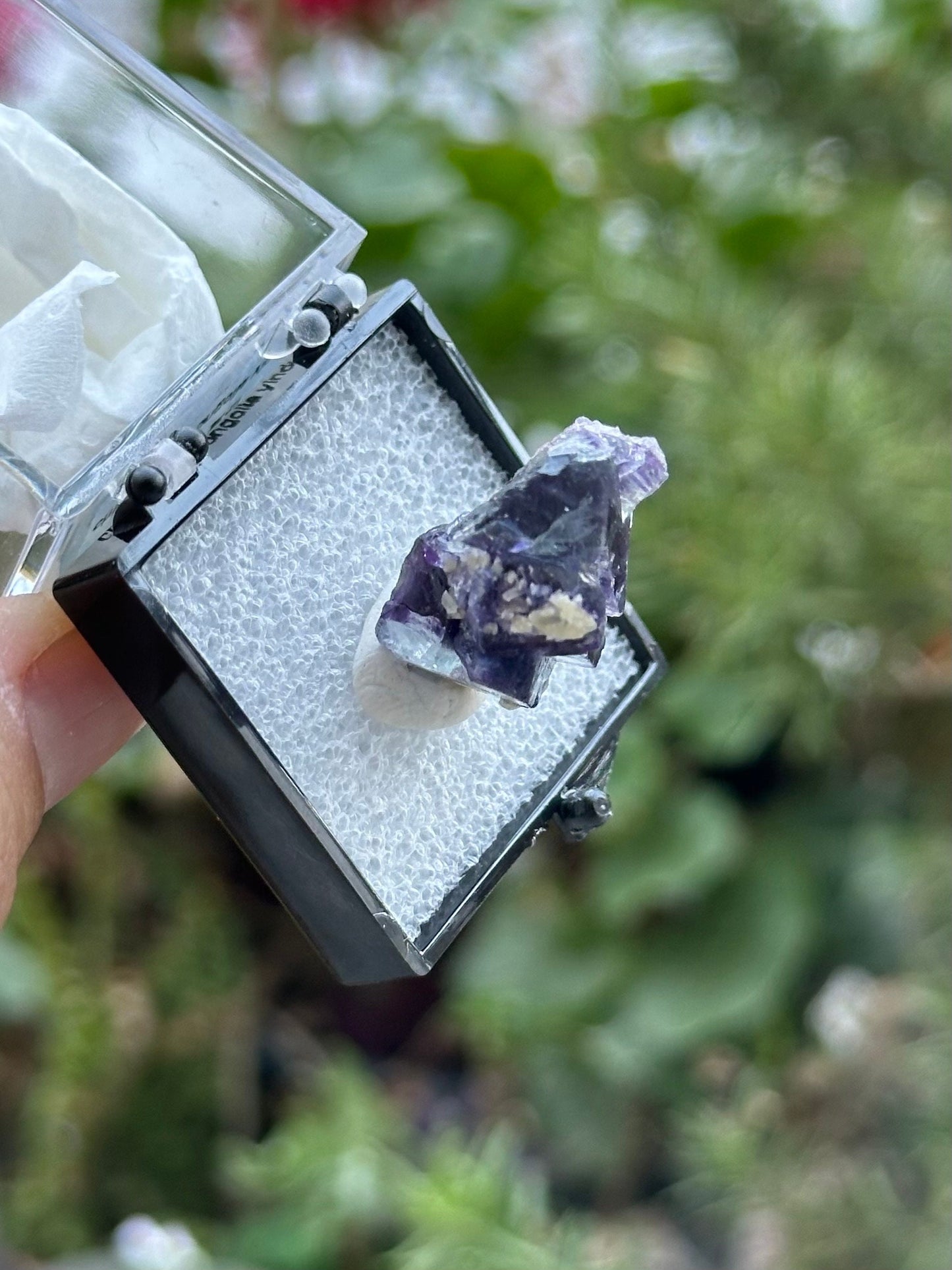 Fluorite Specimen in a perky box from the Yindu Mine, Inner Mongolia, China