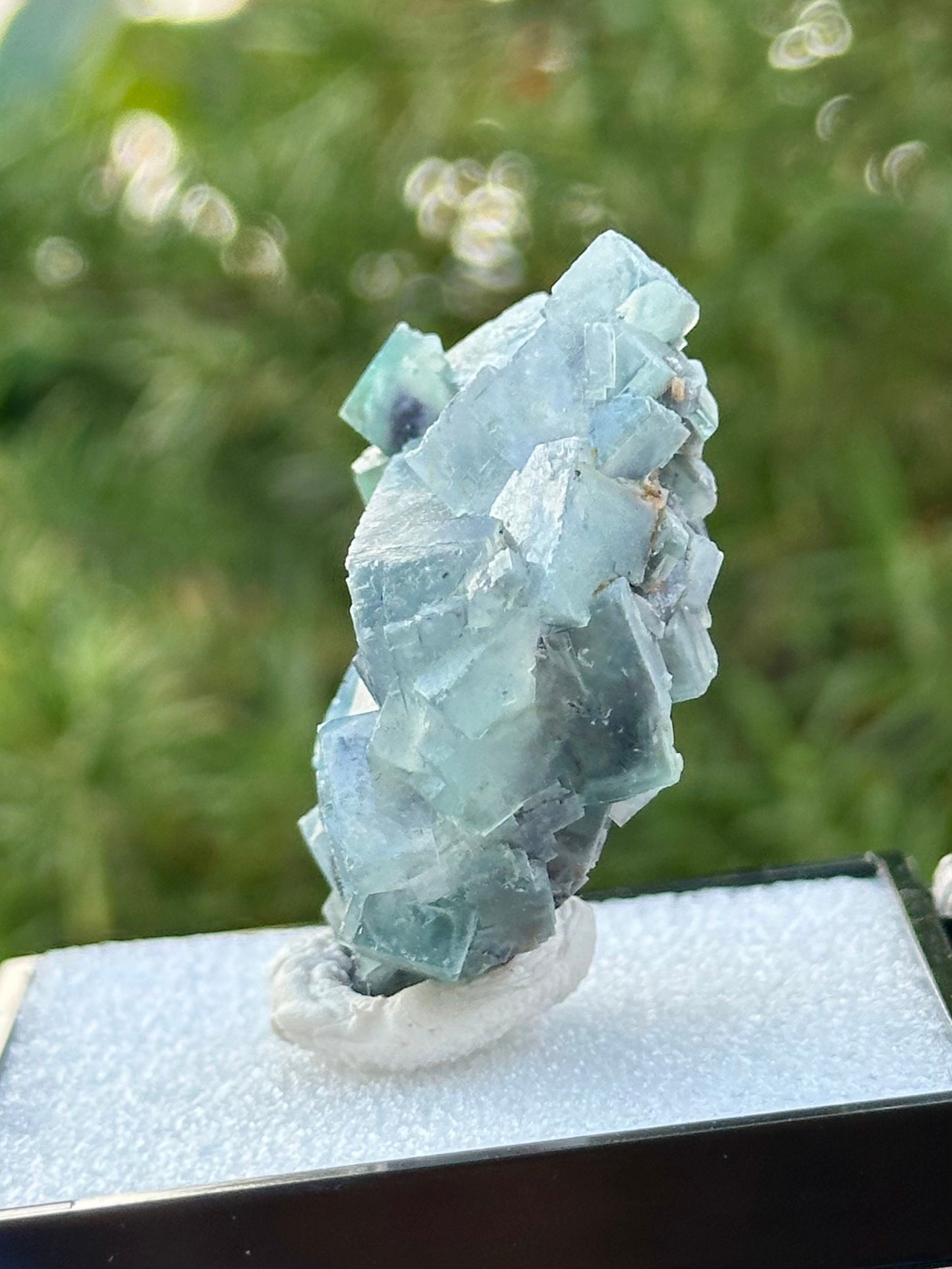Fluorite in perky box from the Yindu Mine, Inner Mongolia, China