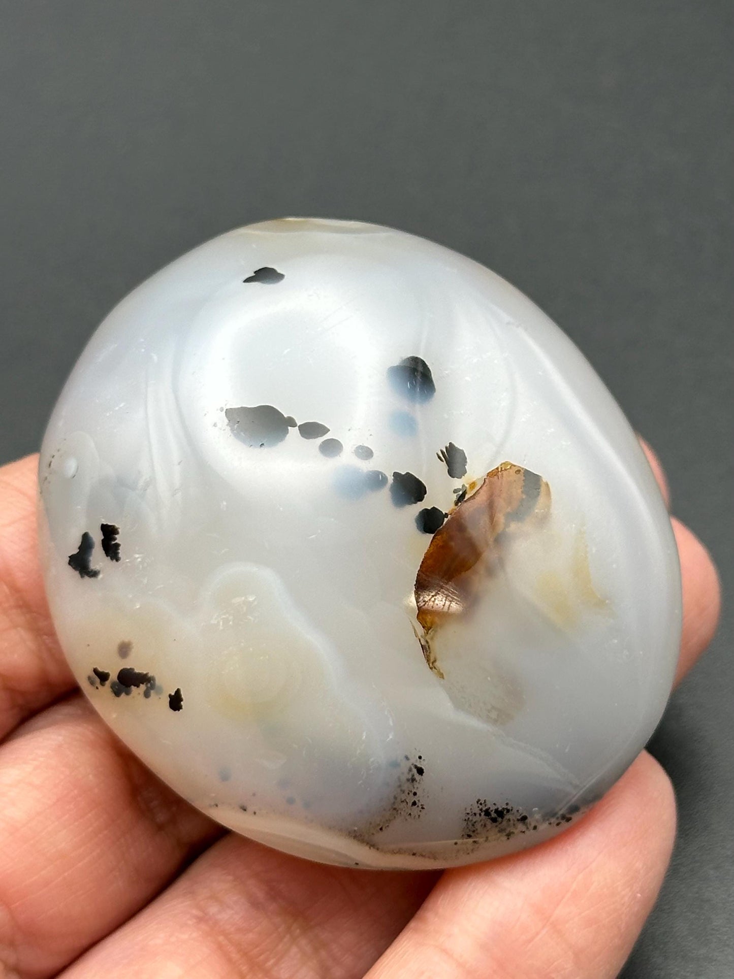 Small Dendritic Agate Palm Stone from Madagascar