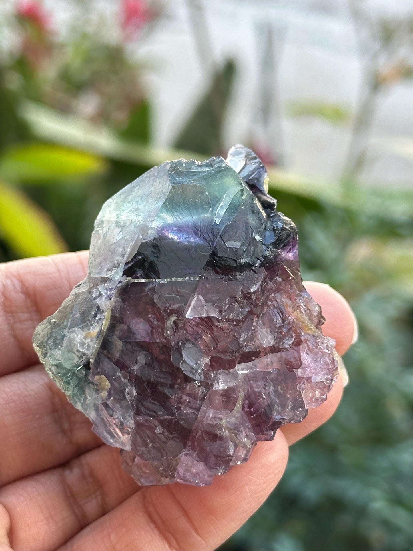 Fluorite from Zhejiang, China