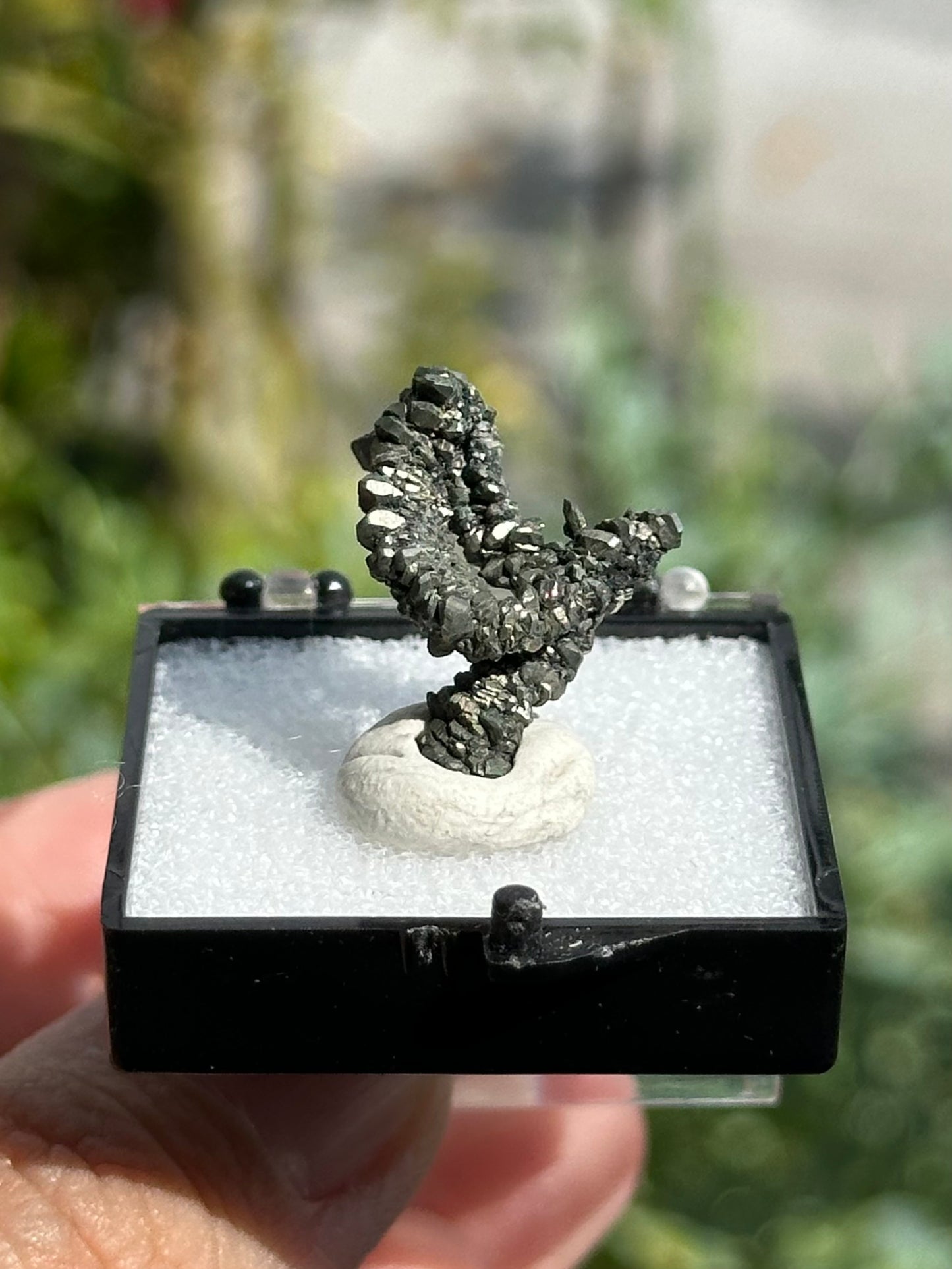 Marcasite Specimen from the Linwood Mine