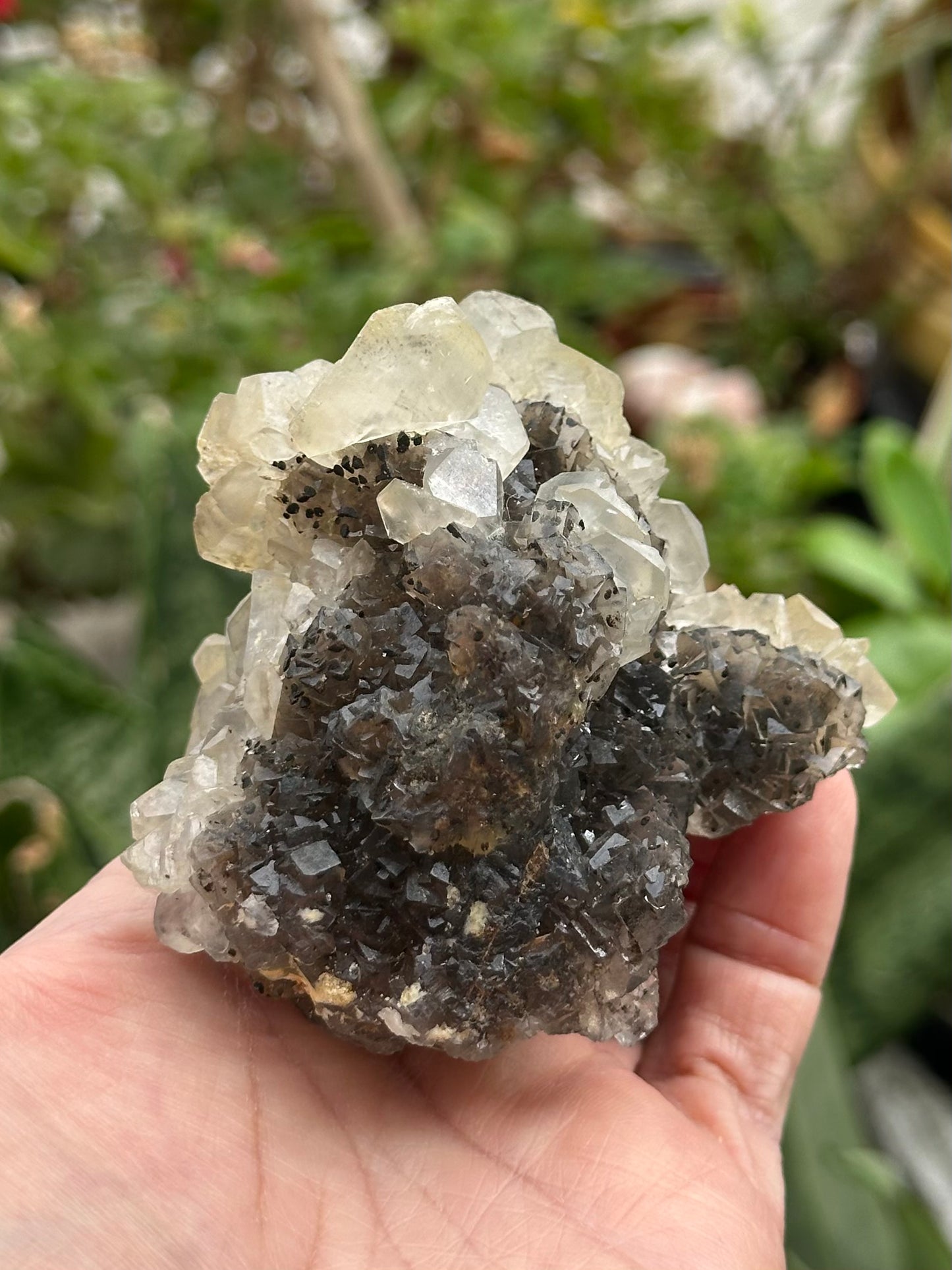 Fluorite and Calcite Specimen from Xianghualing