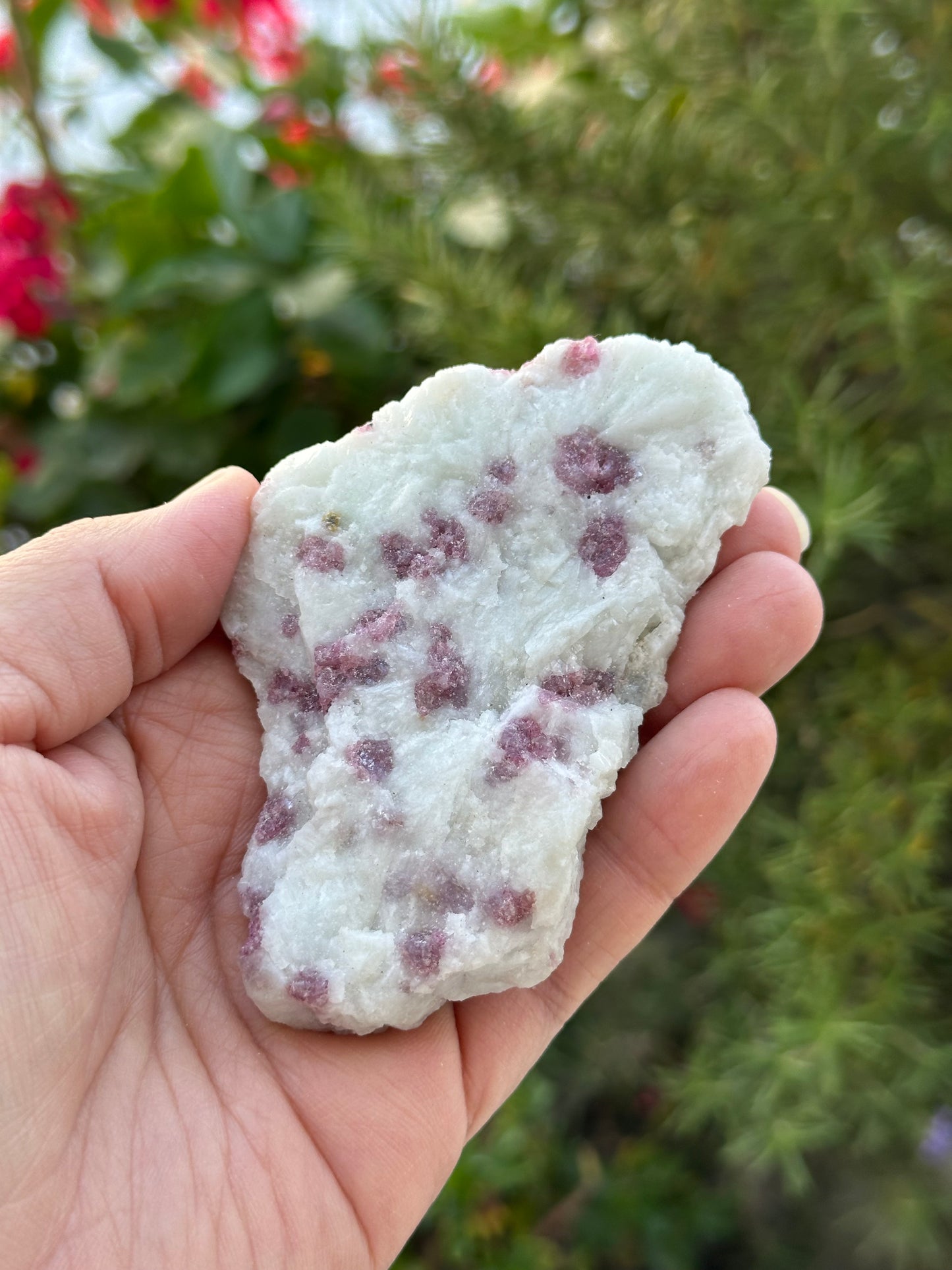 Rough Pink Tourmaline