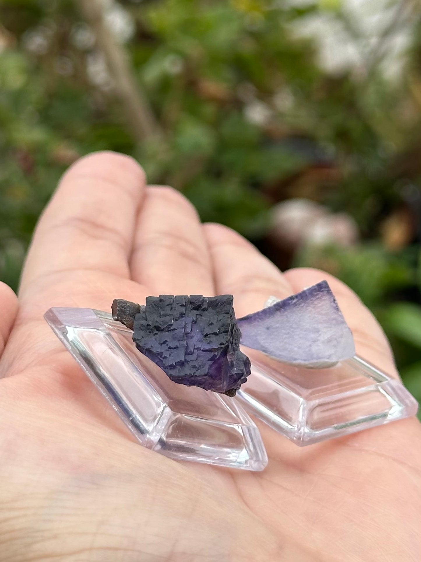 2 Fluorites from the Elmwood Mine on Stands