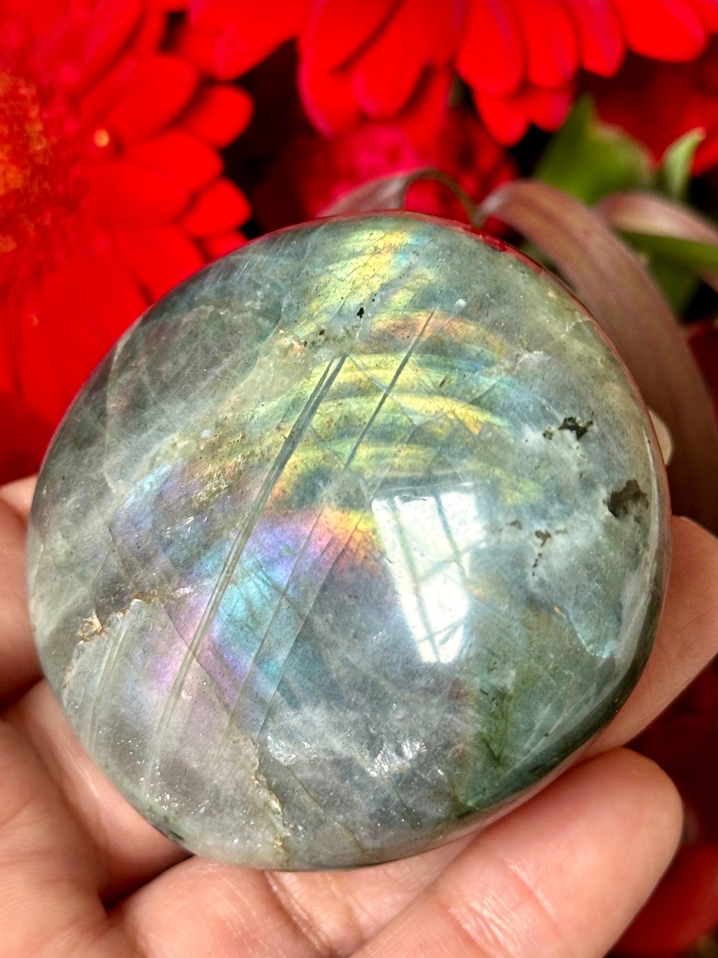 Labradorite Palm Stone from Madagascar