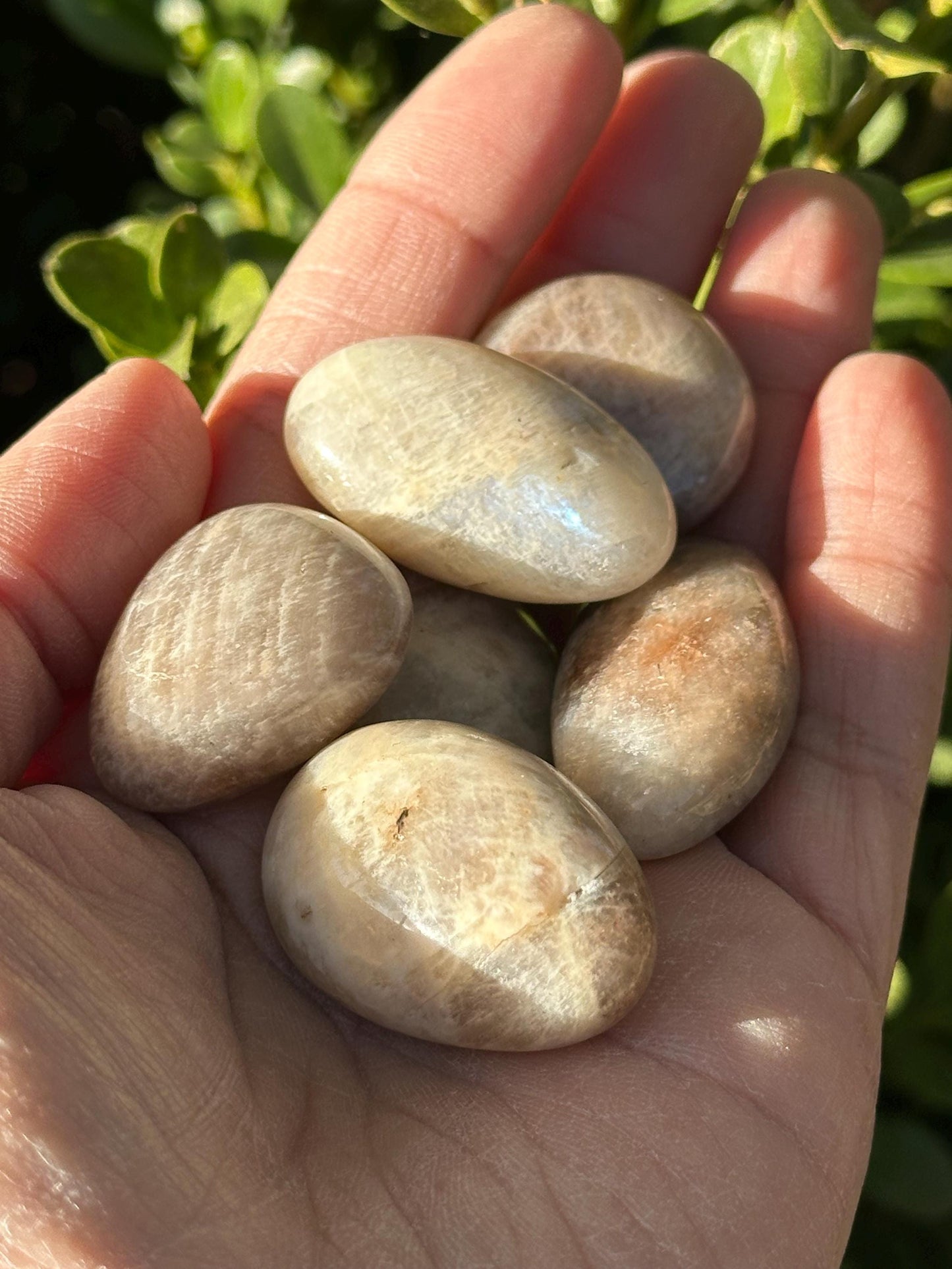 One (1) Sunstone Moonstone Tumble