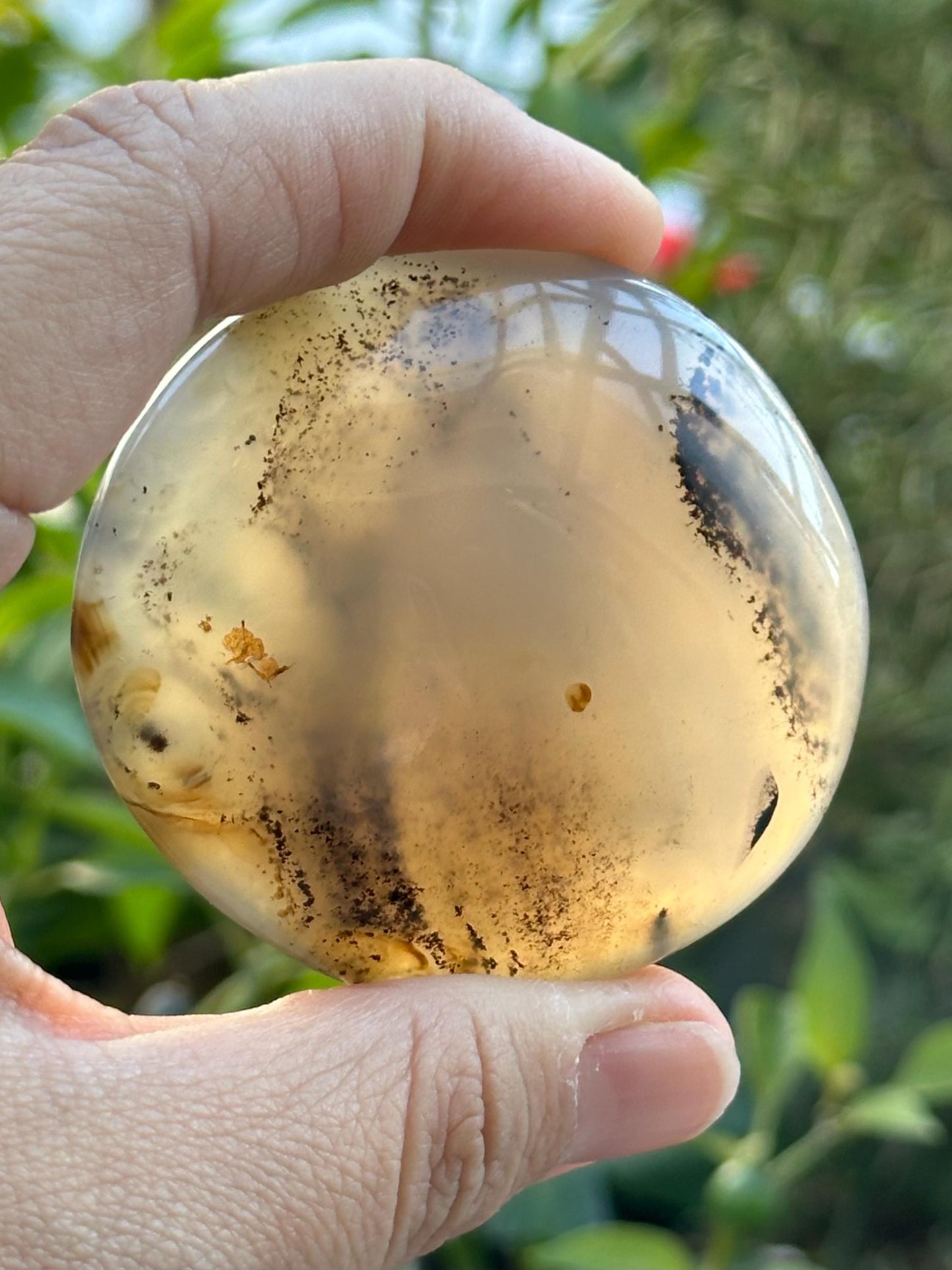 Dendritic Agate Palm Stone
