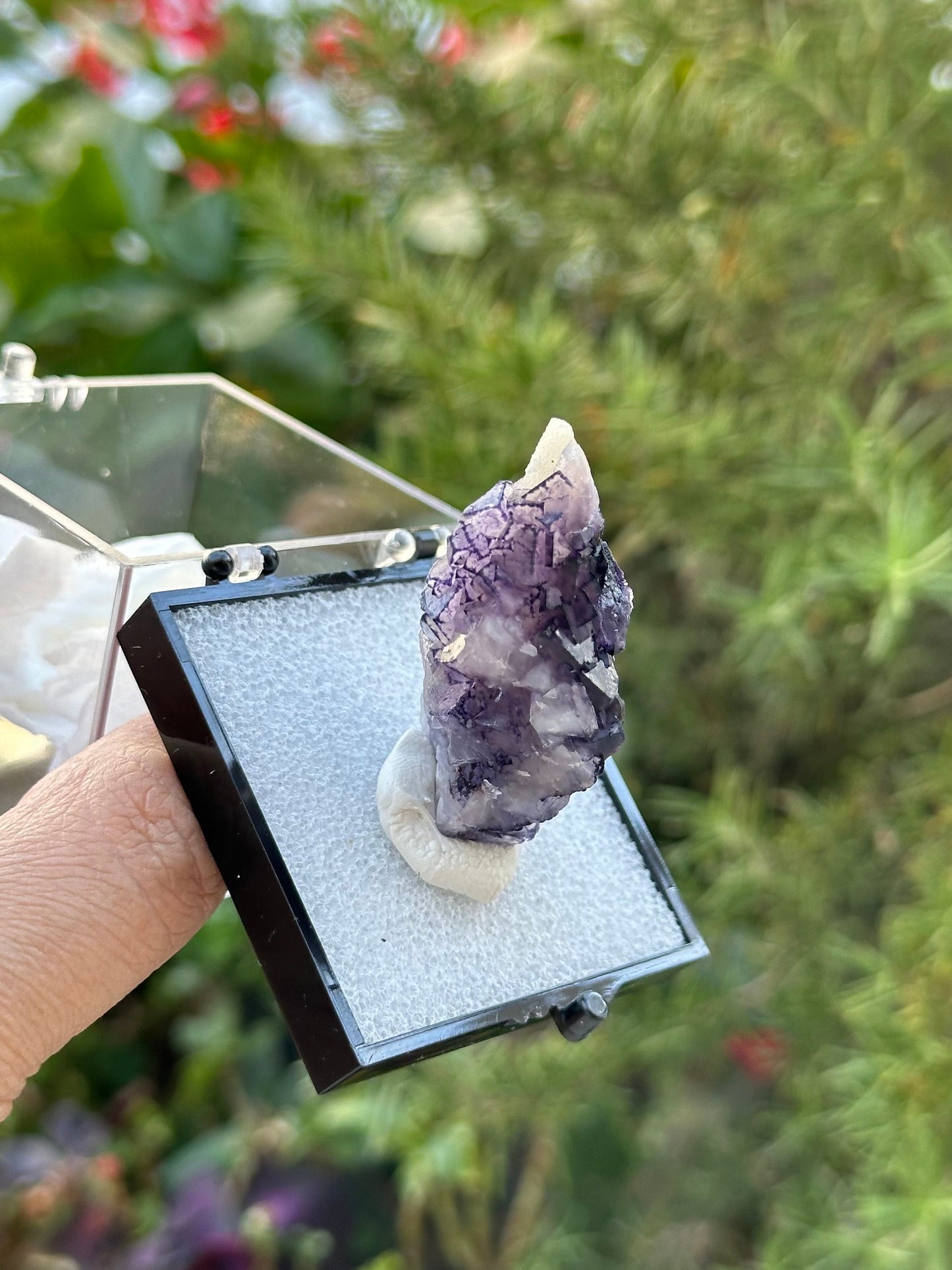 QR Code Fluorite in a perky box from Quinlong Mine, Guizhou, China