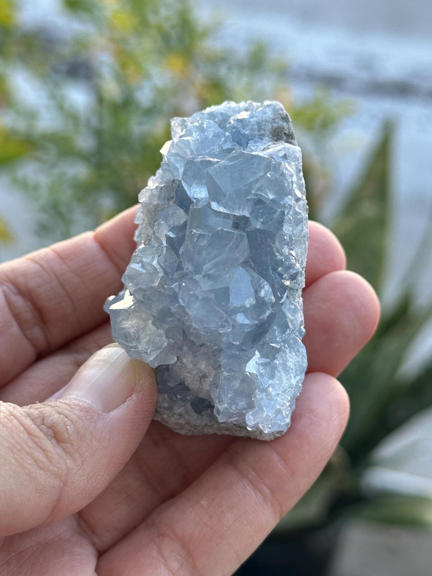 Celestite Cluster