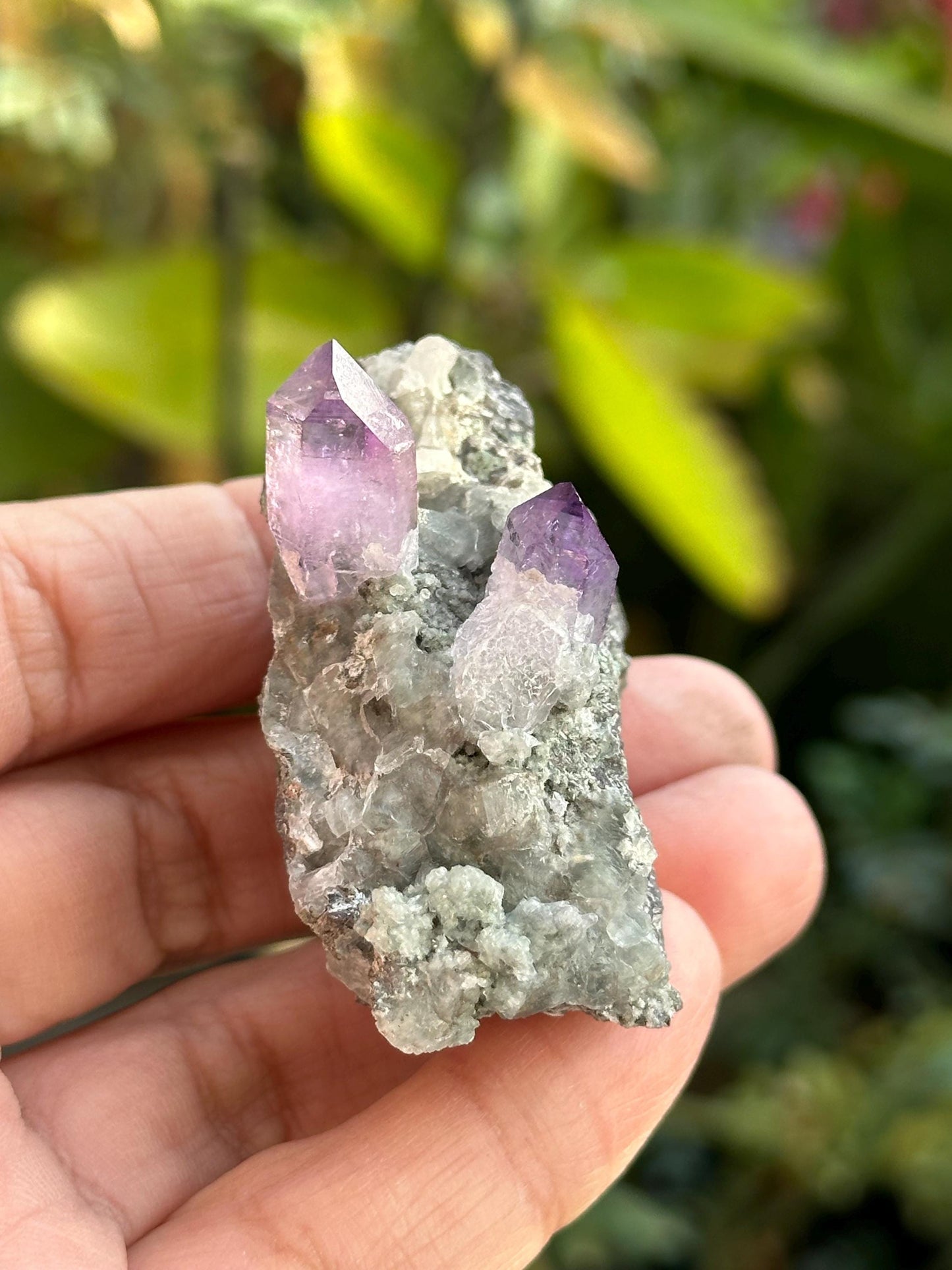 Veracruz Amethyst on Matrix