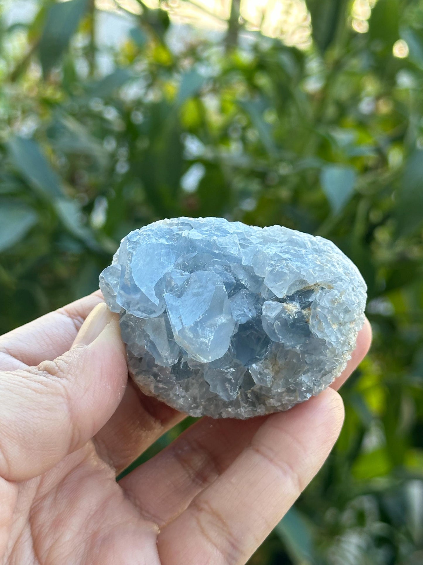 Celestite Cluster