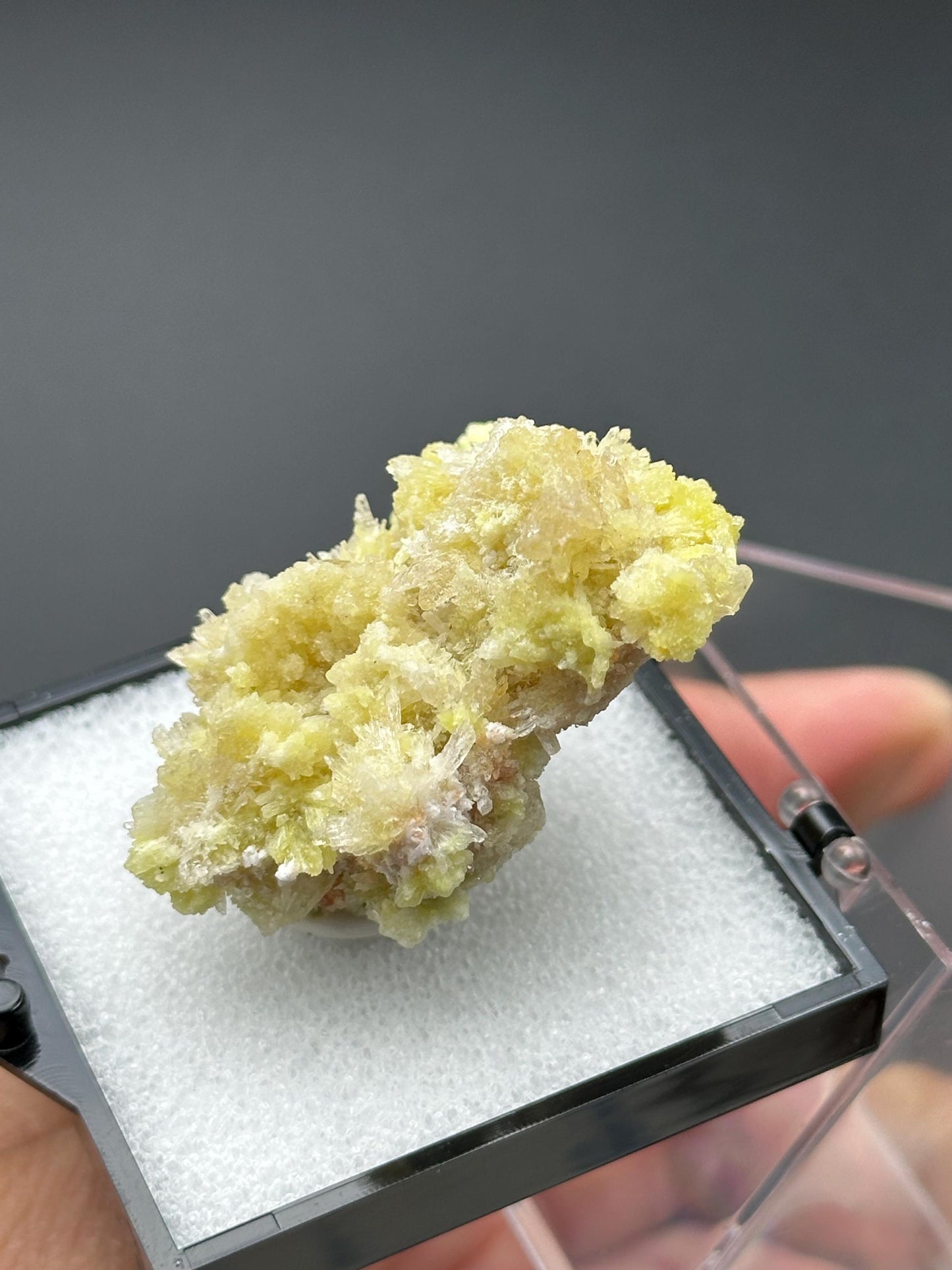 Creedite with Selenite in a perky box from Guizhou, Dachang, China