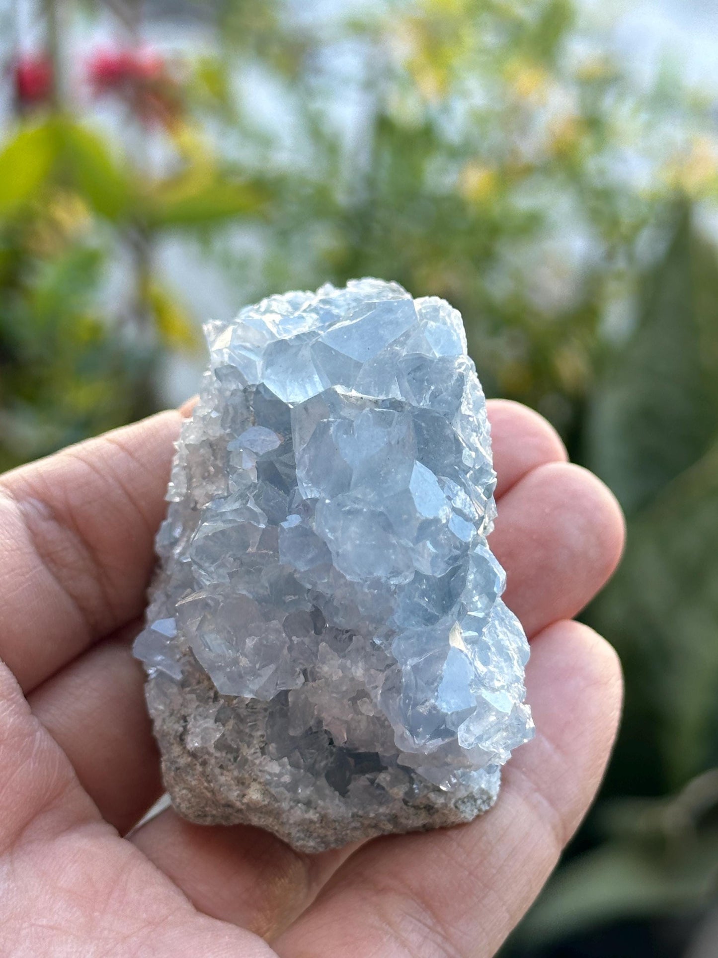 Celestite Cluster