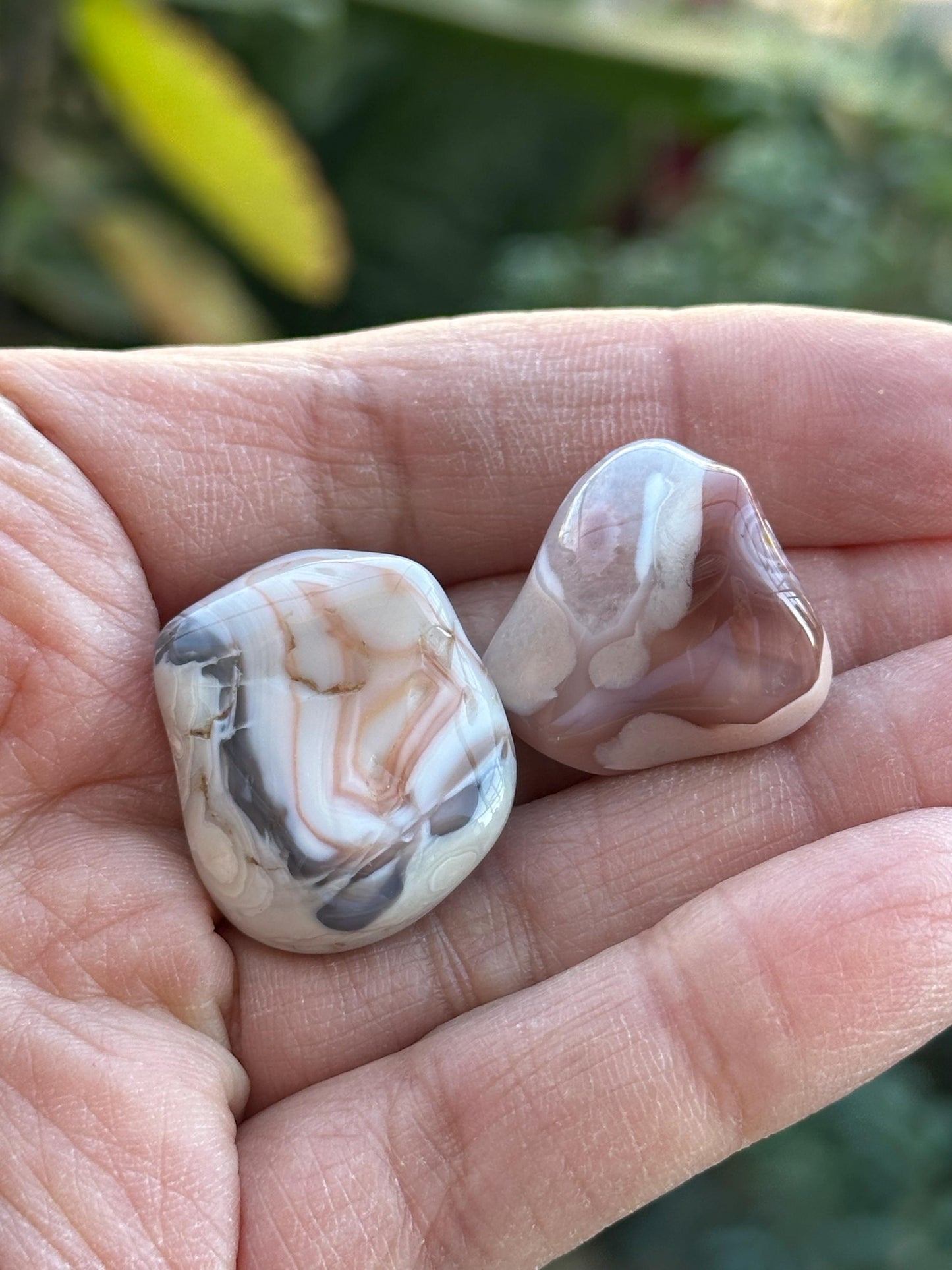 One (1) Botswana Agate Tumble