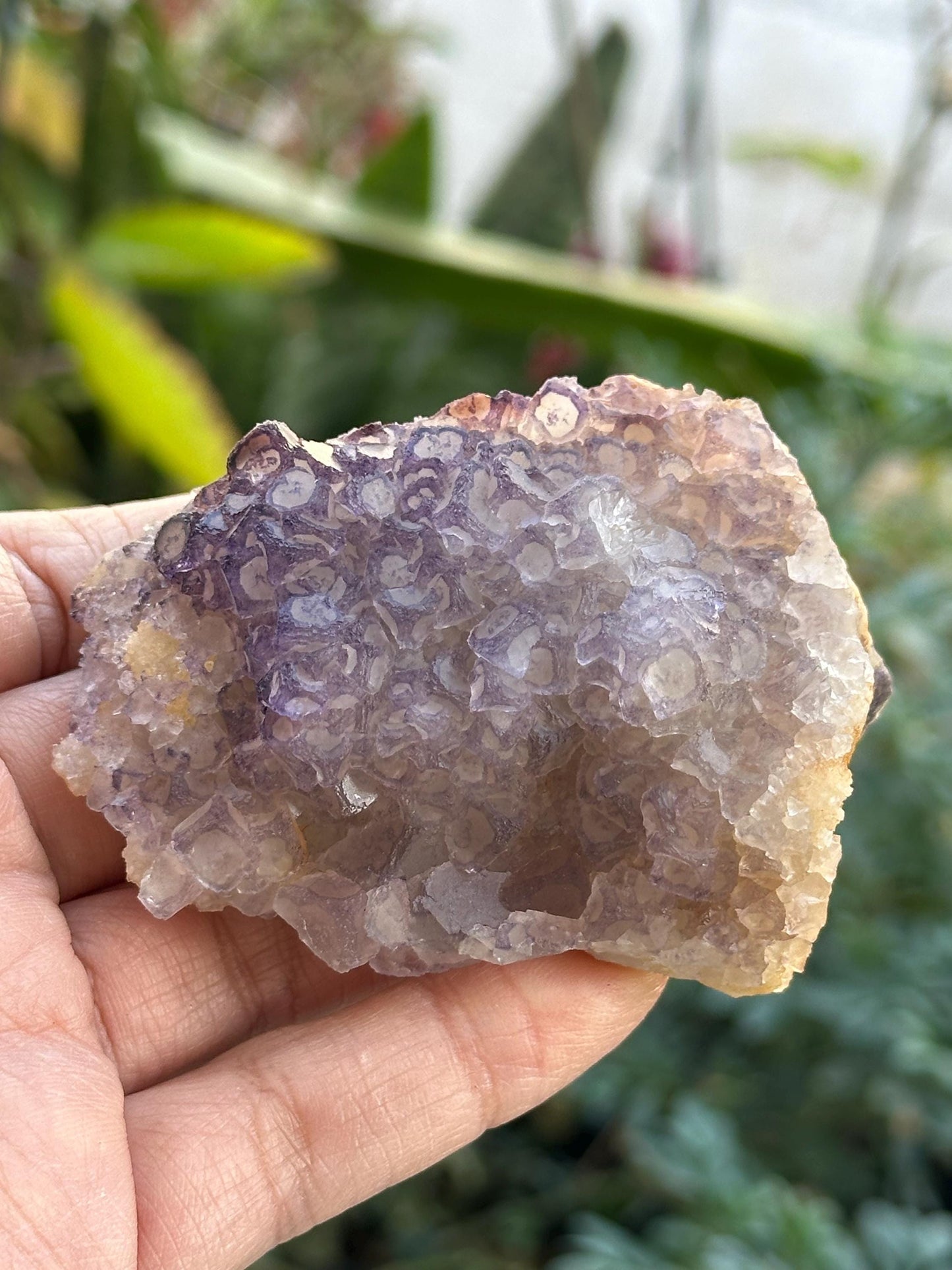 QR Code Fluorite from Guizhou, China