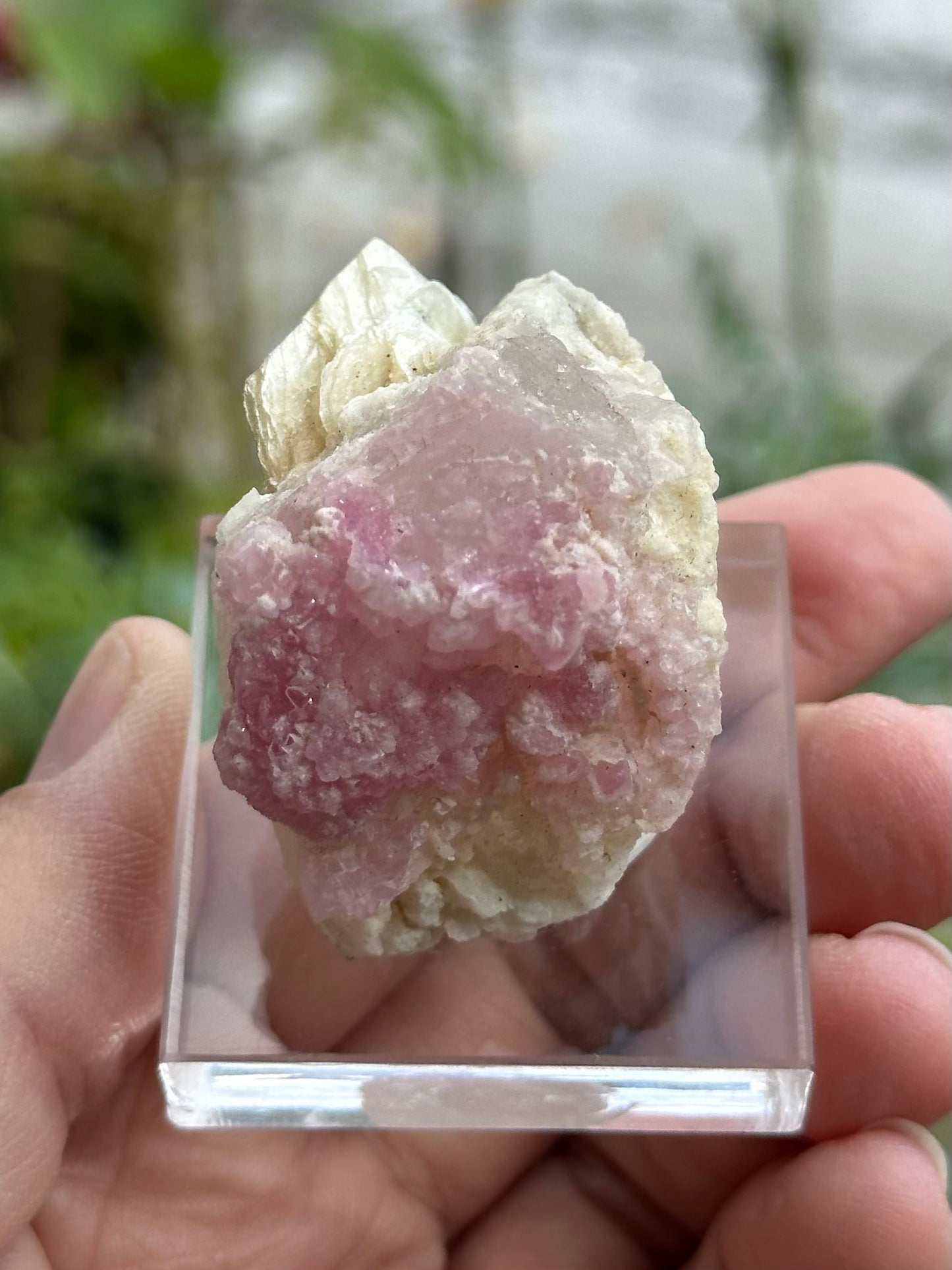 Crystallized Rose Quartz on Quartz with Mica from Brazil