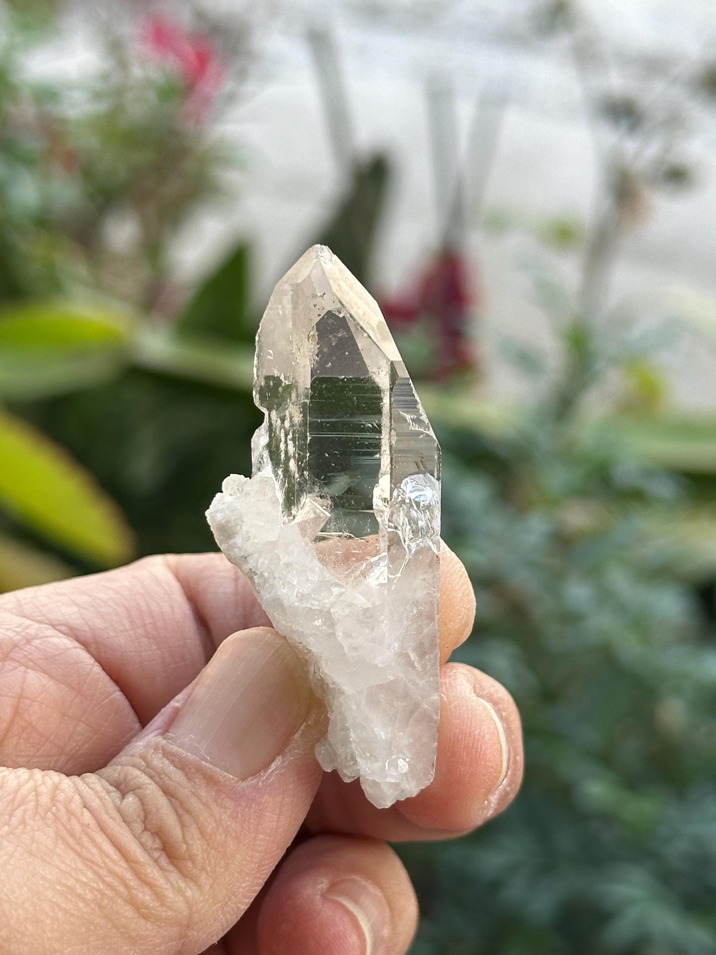 Clear Quartz from Brazil