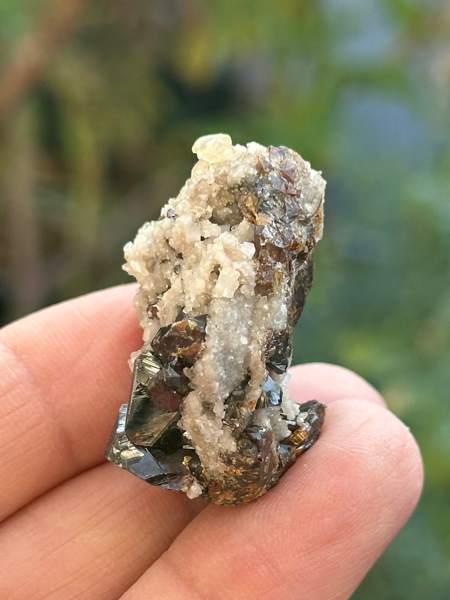 Dolomite and Sphalerite from the Elmwood Mine in Carthage, Tennessee