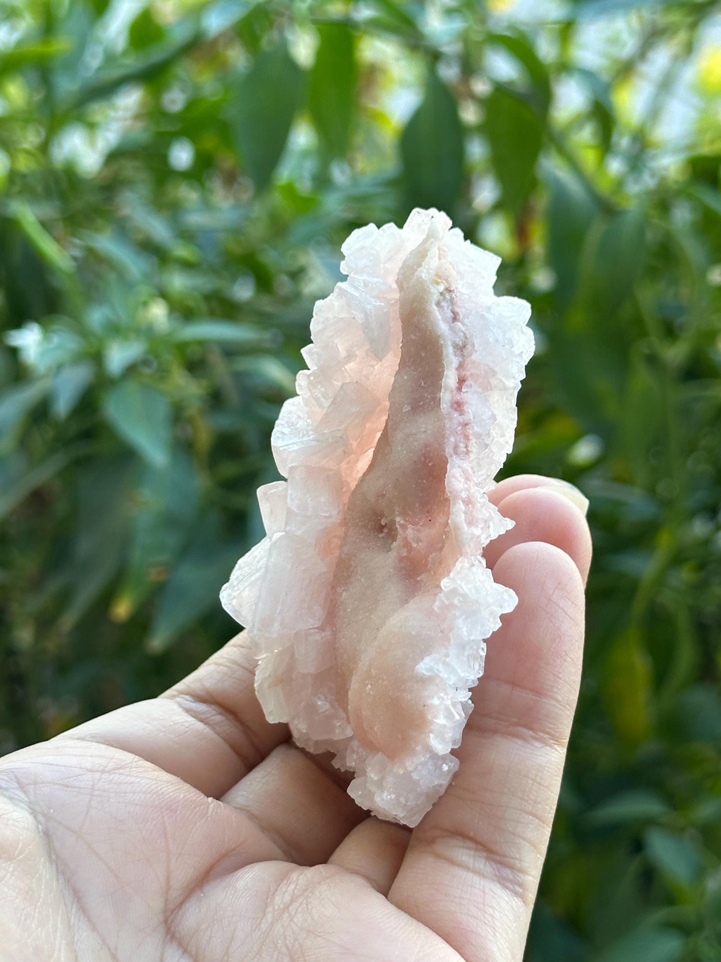 Light Pink Halite on Trona