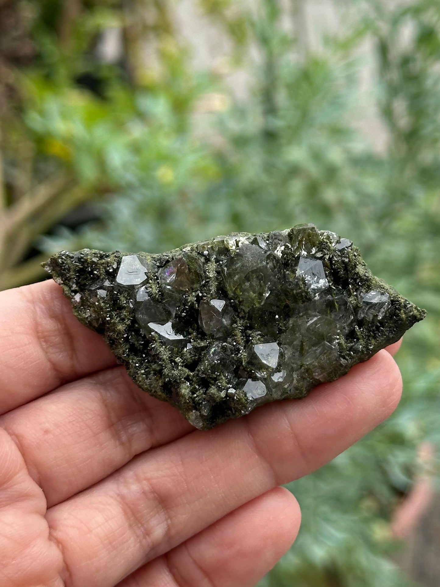 Epidote and Quartz from Hakkari Province, Turkey