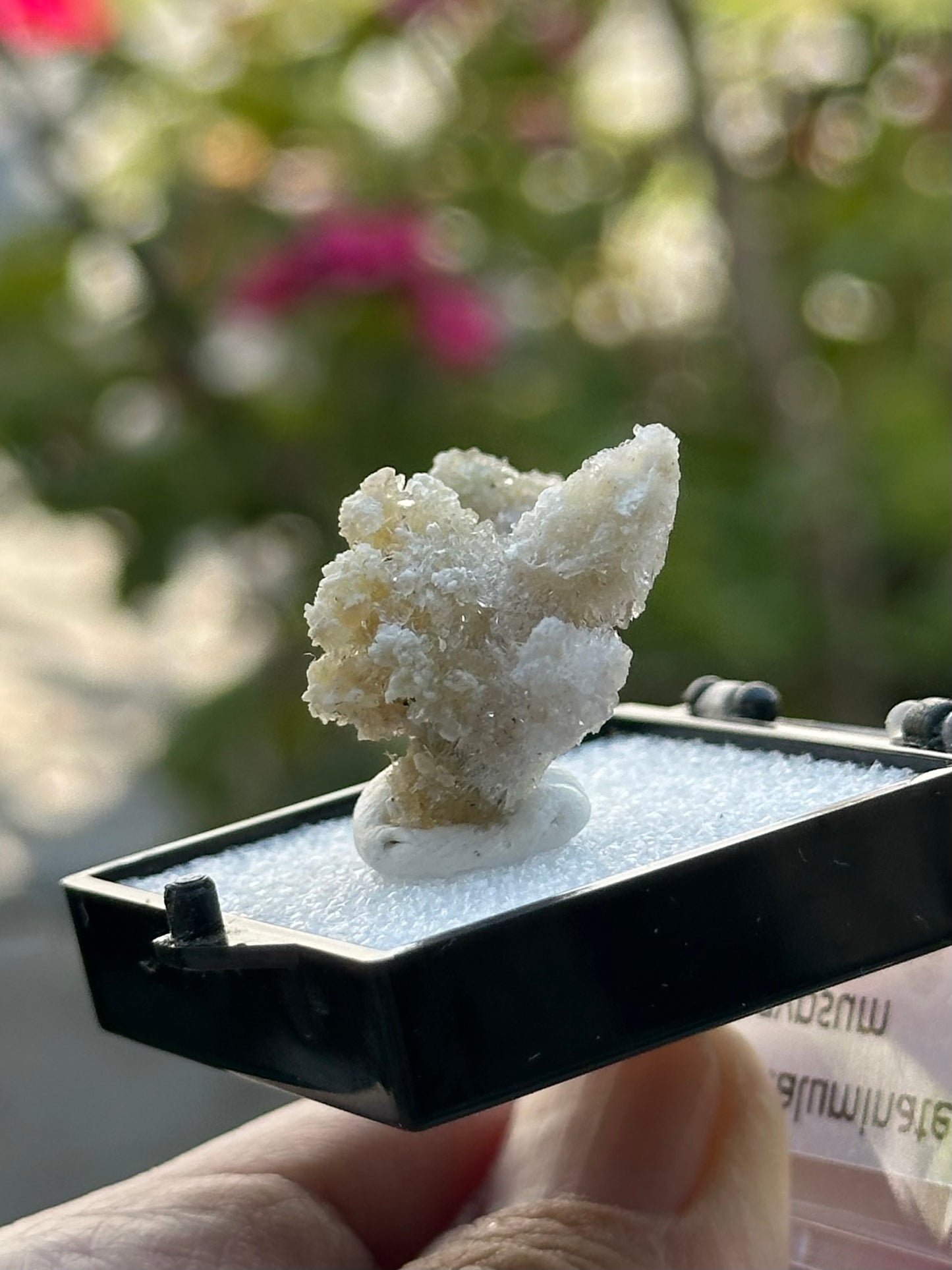 Fluoroaluminate Gypsum in a perky box from Guizhou Dachang, China