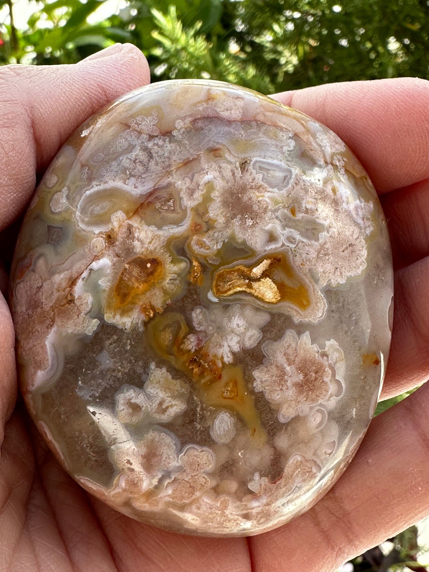 Flower Agate Palm Stone