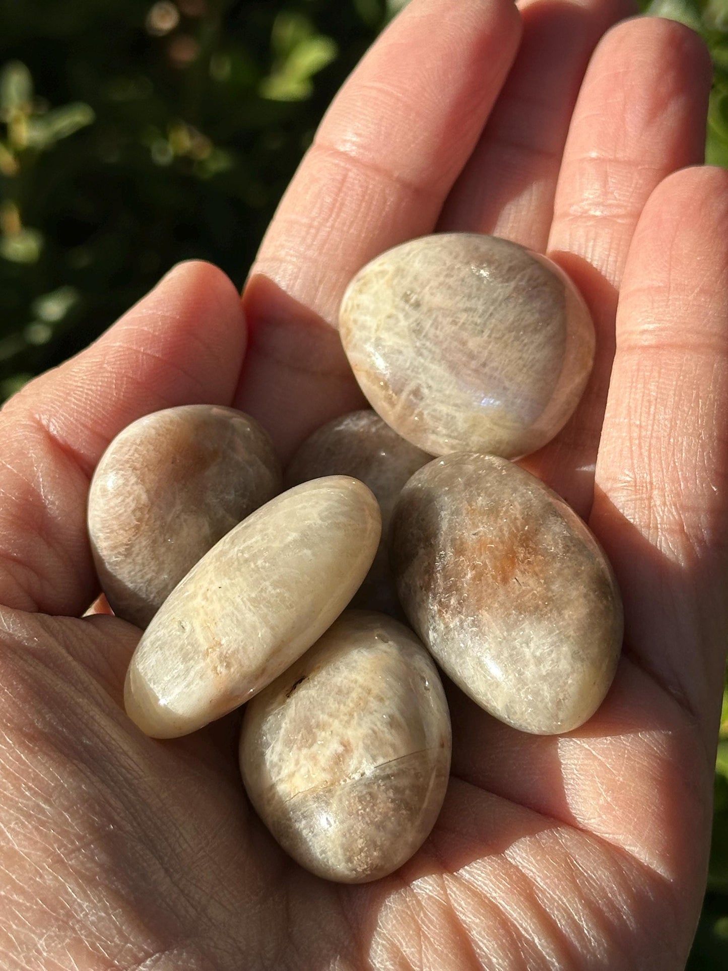 One (1) Sunstone Moonstone Tumble