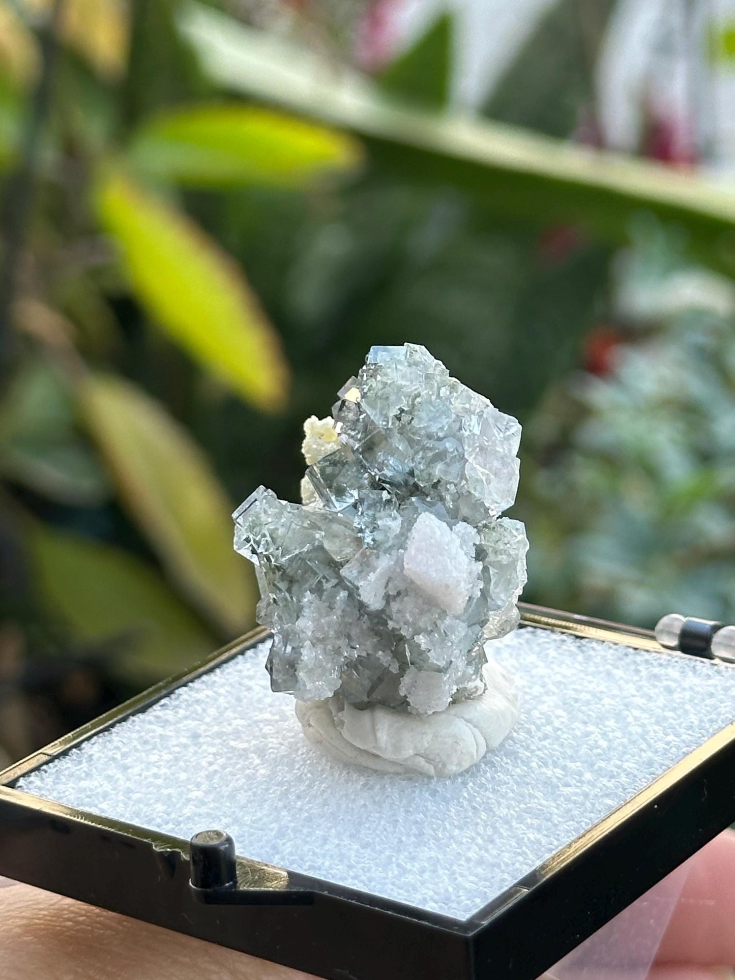 Fluorite Specimen from the Yaogangxian Mine