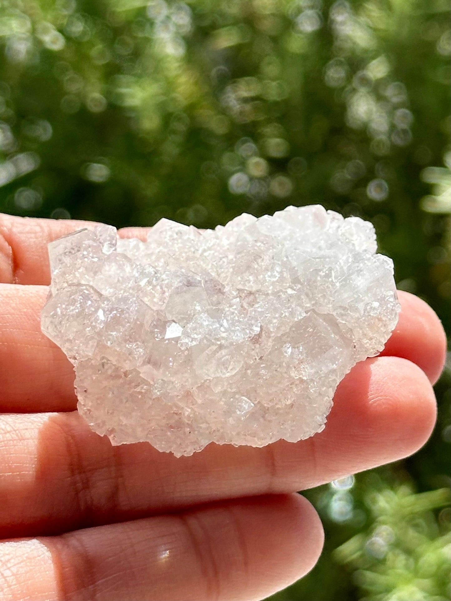 Double Sided Apophyllite from India
