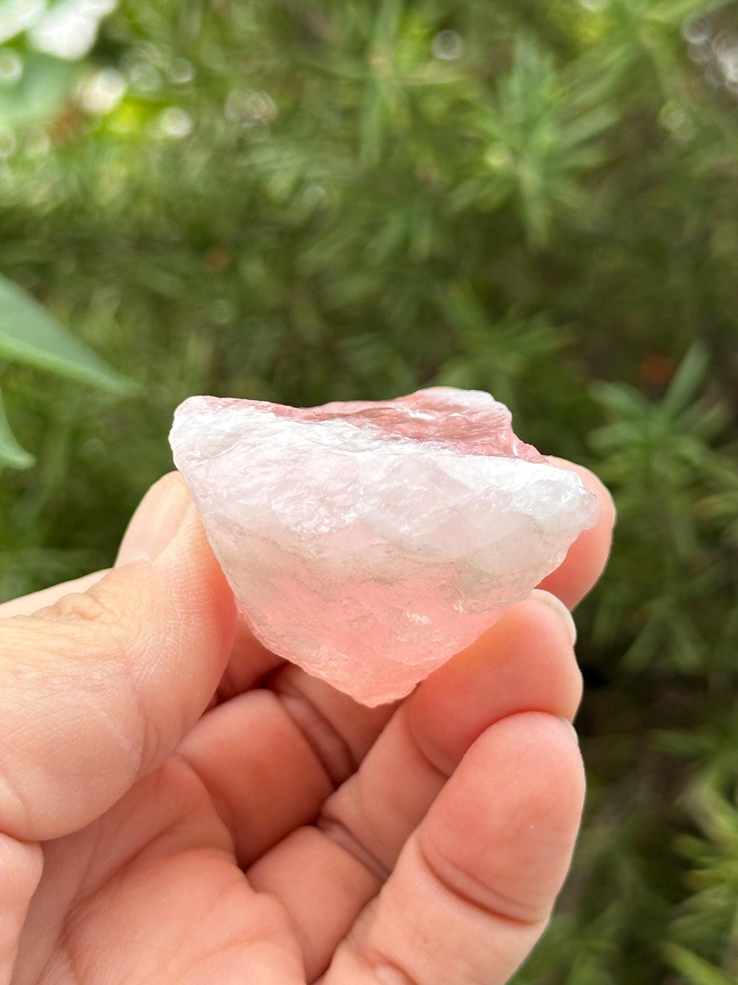Raw Rose Quartz from Brazil
