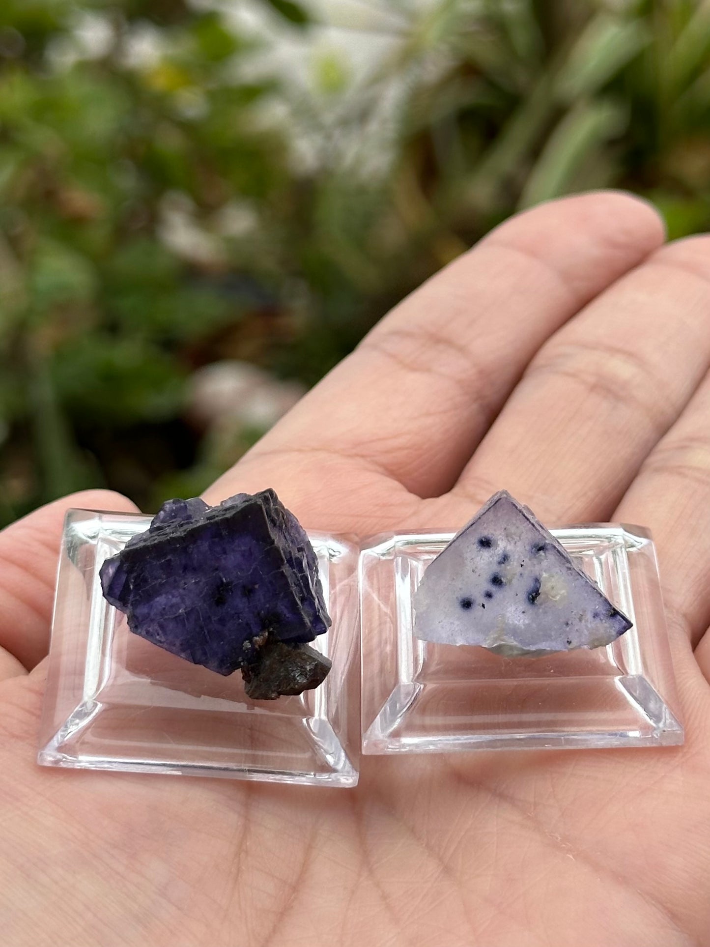 2 Fluorites from the Elmwood Mine on Stands