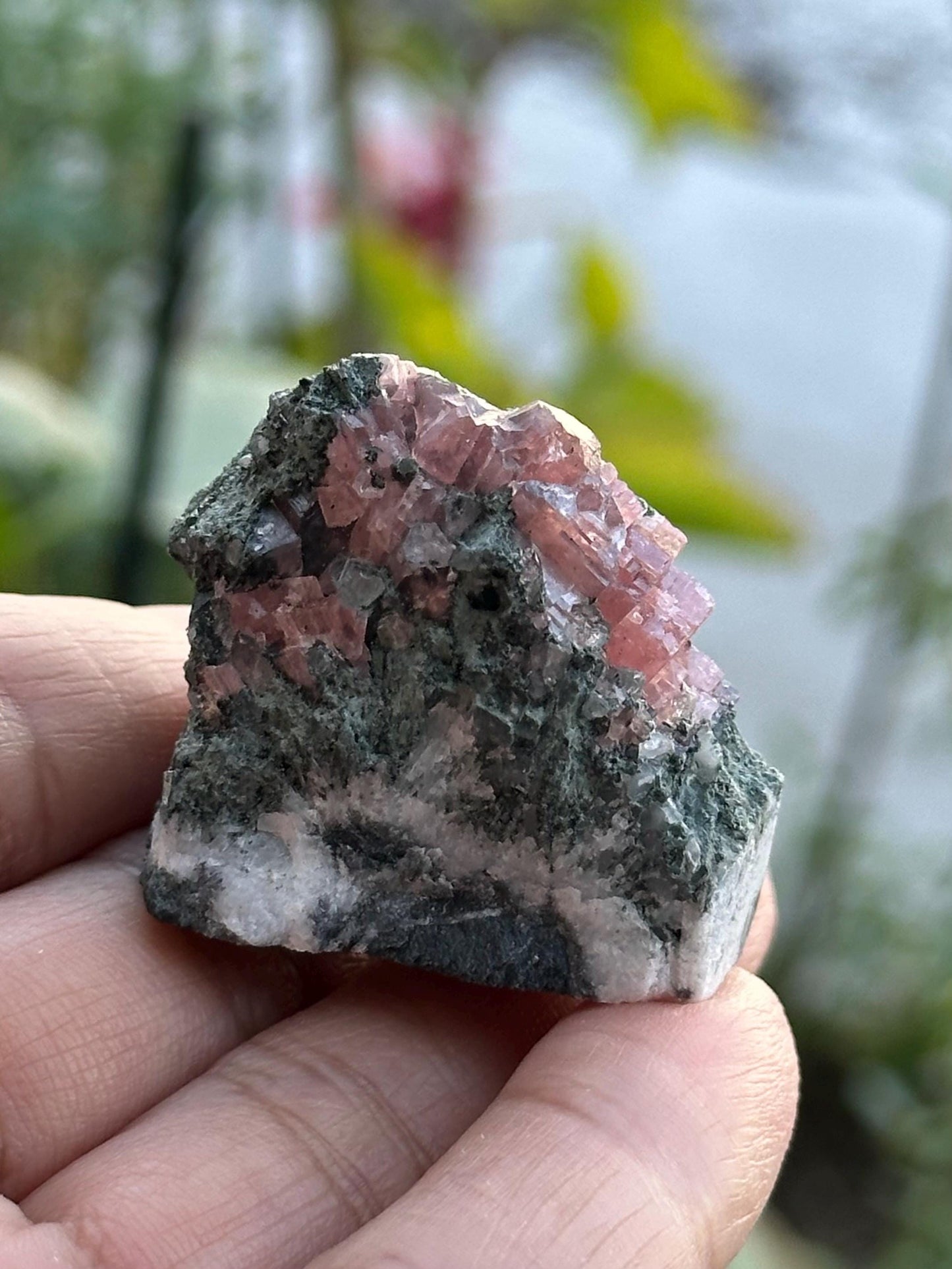 Rhodochrosite on Matrix