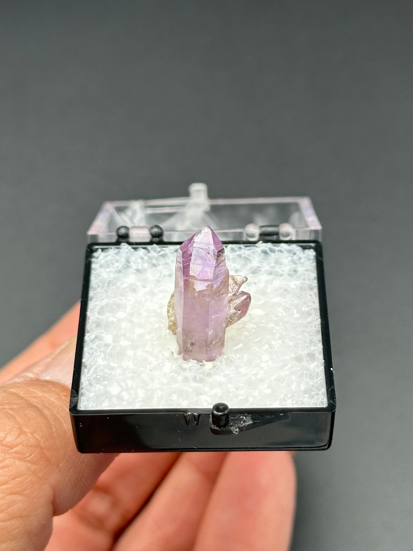 Veracruz Amethyst in a perky box from Veracruz, Mexico