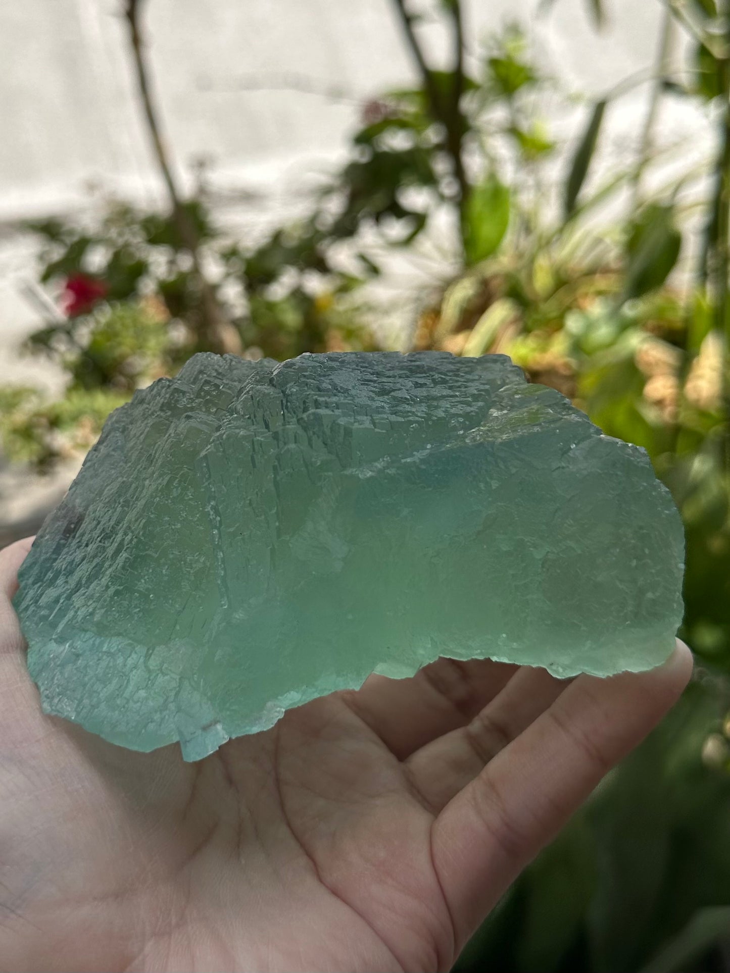 Green Fluorite from the Manaoshan Mine