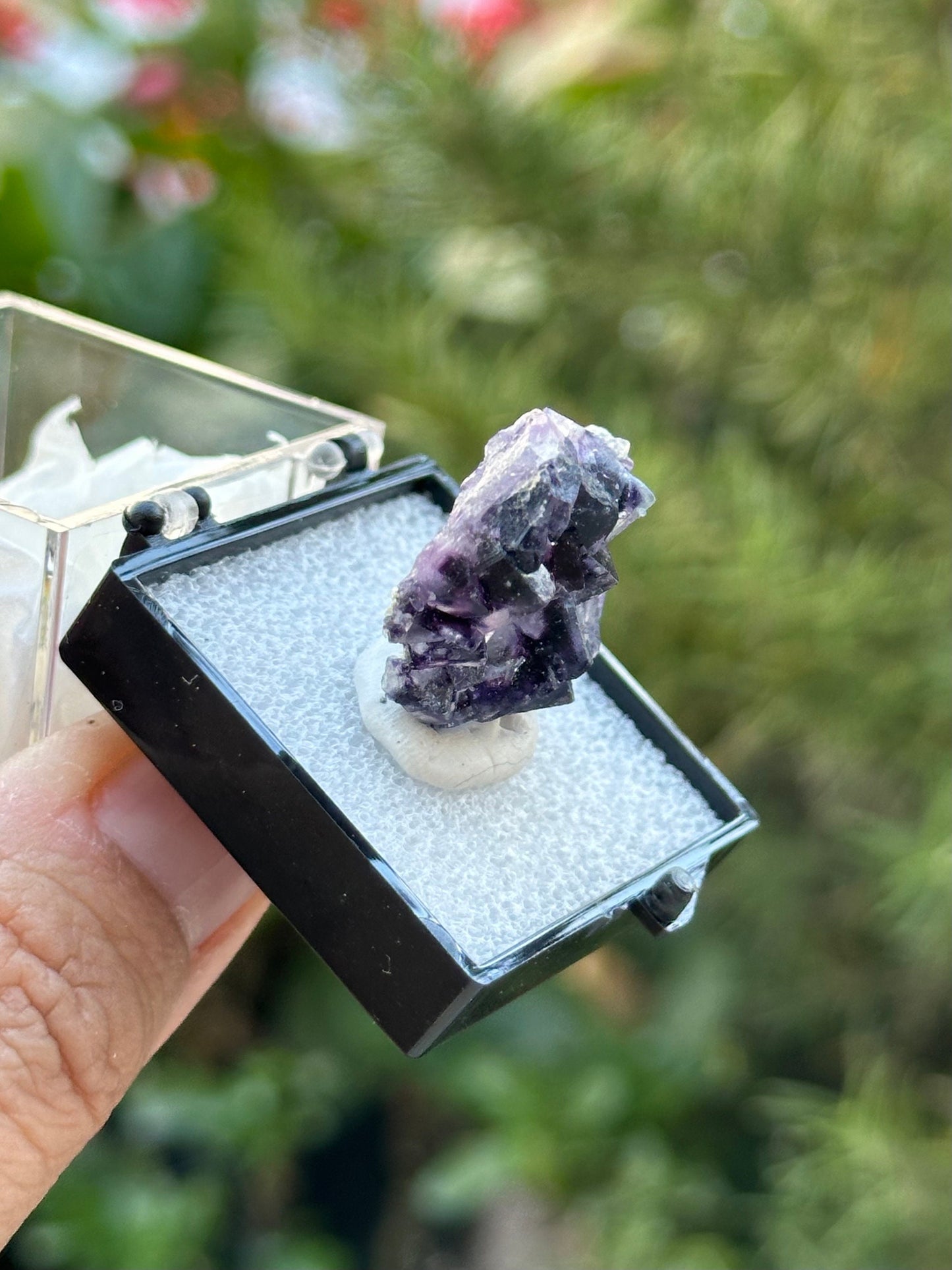 Fluorite in a perky box from the Yindu Mine, Inner Mongolia, China
