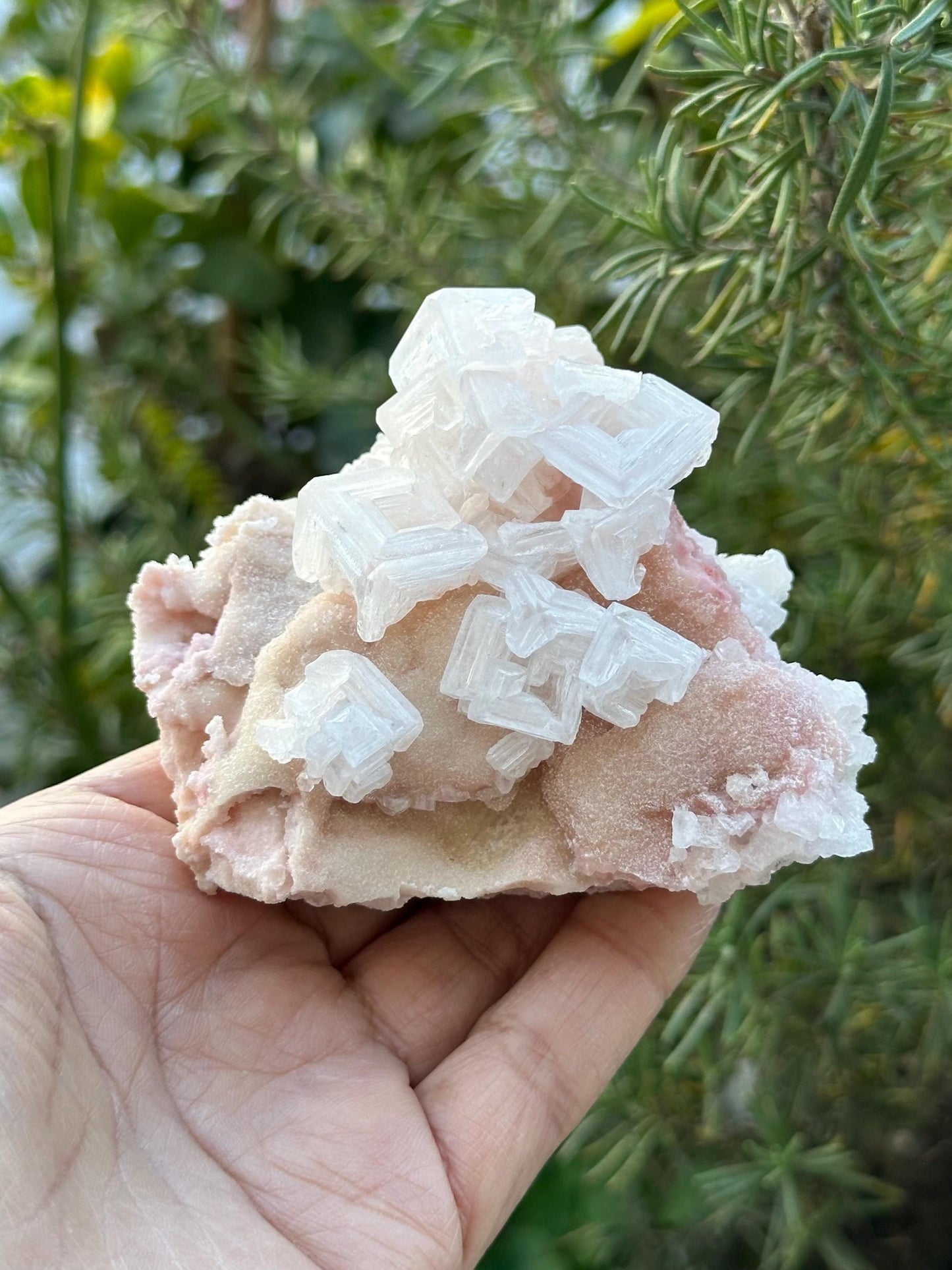 Light Pink Halite on Trona from Searles Lake, California
