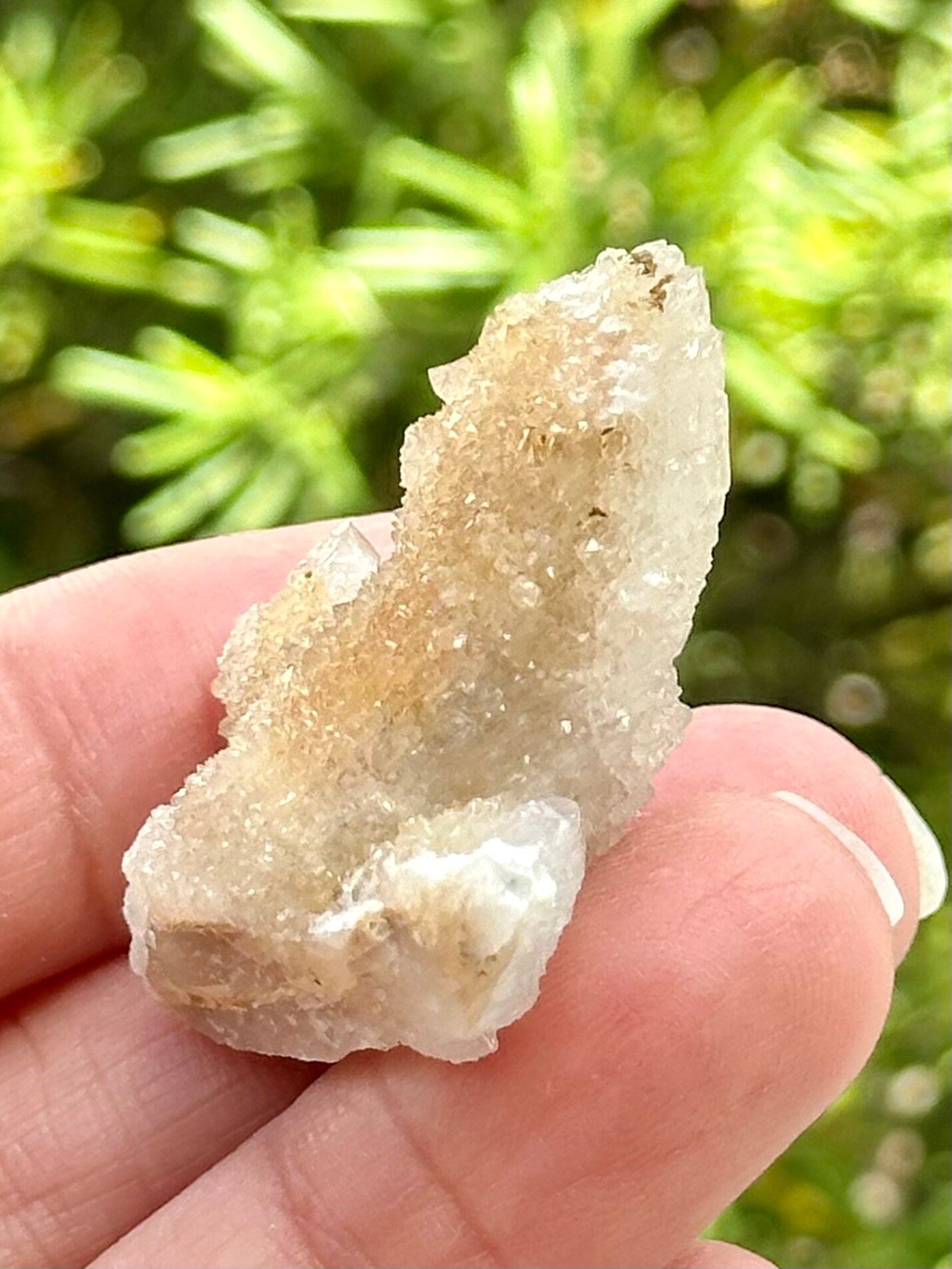 Fairy Quartz