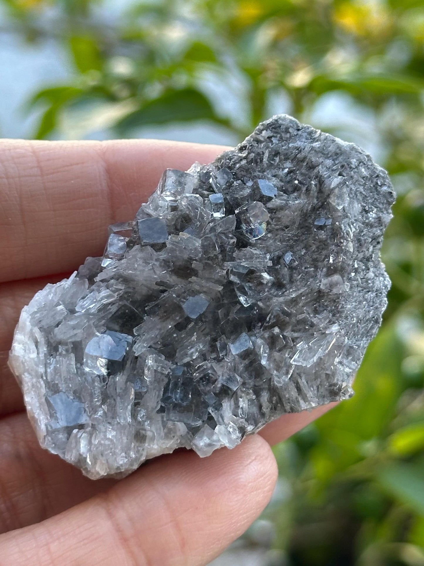 Fluorite with Barite from the Emilio Mine
