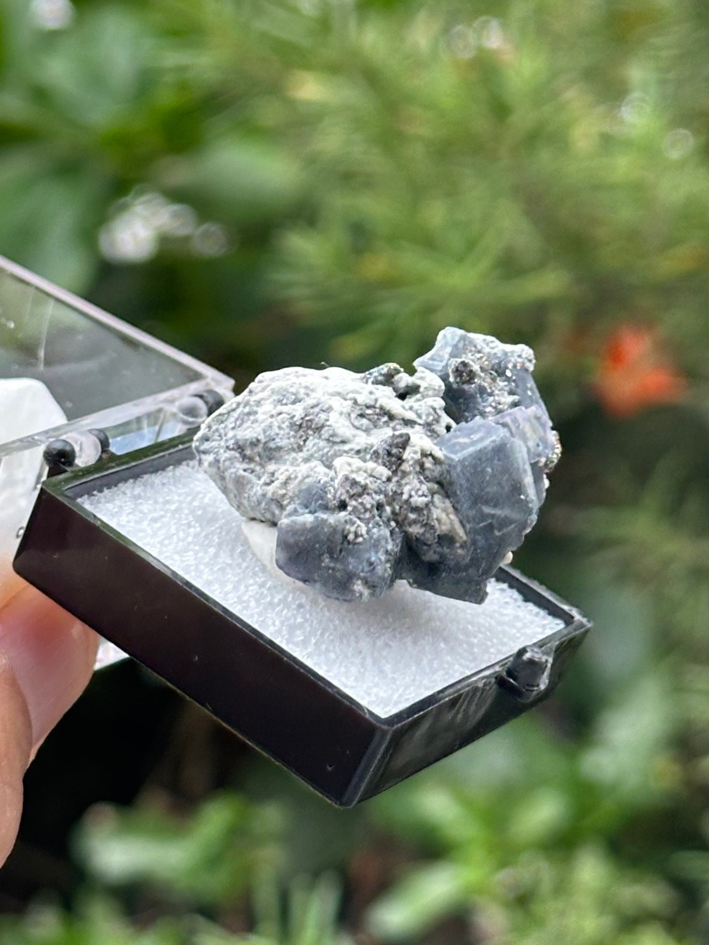 Fluorite with Pyrite Specimen in a perky box from the Yindu Mine, Inner Mongolia, China