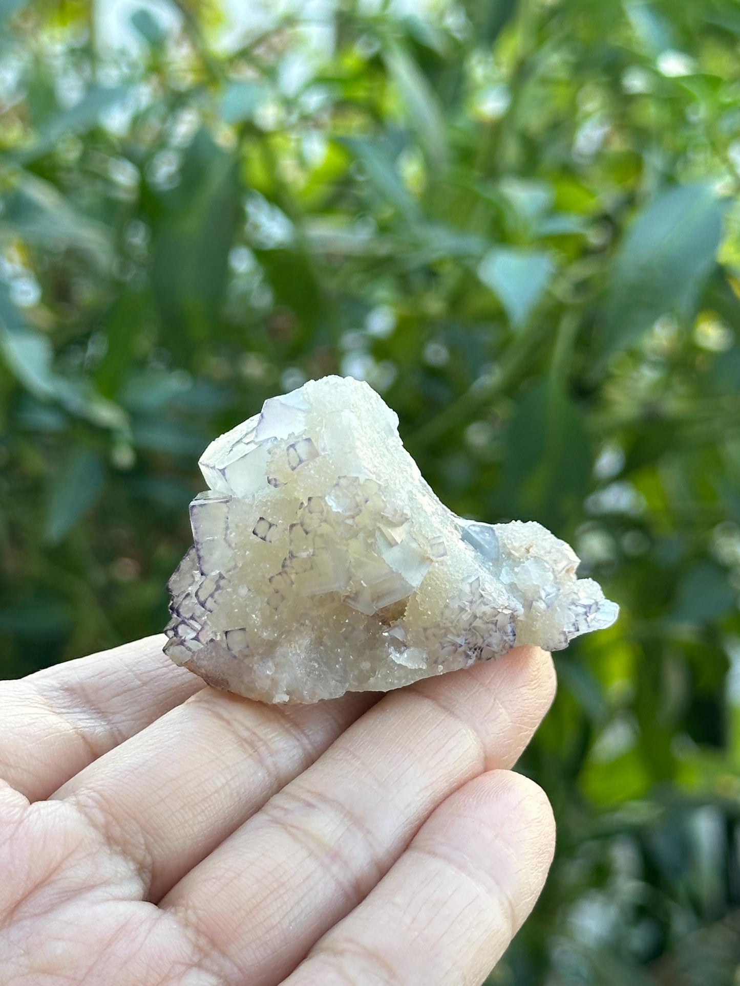 QR Code Fluorite
