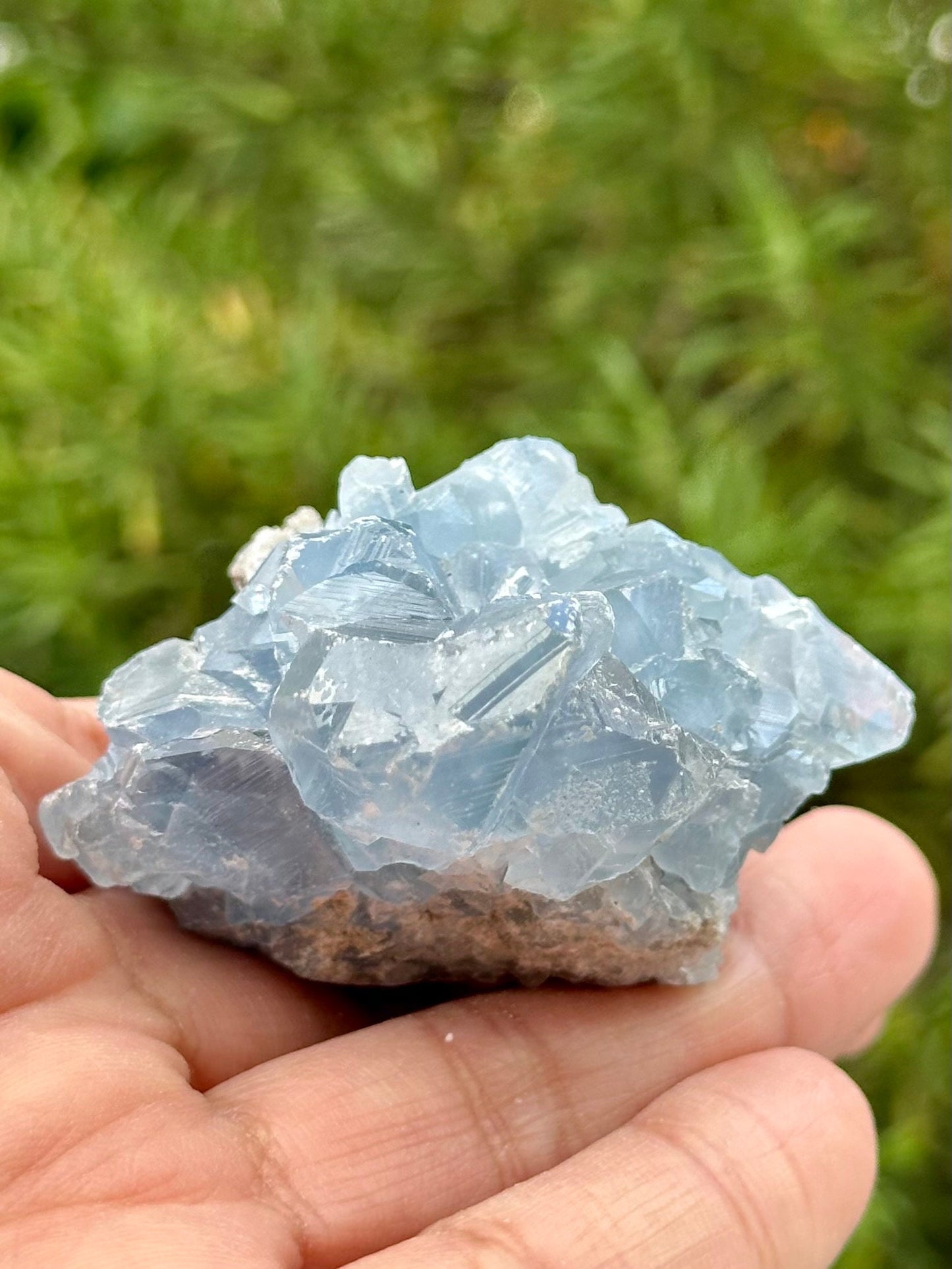 Celestite Cluster