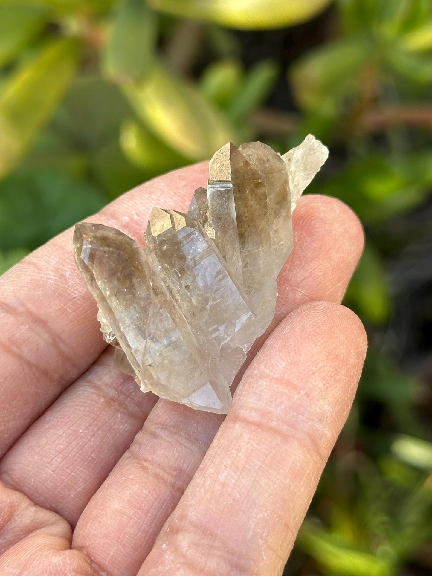 Smoky Quartz