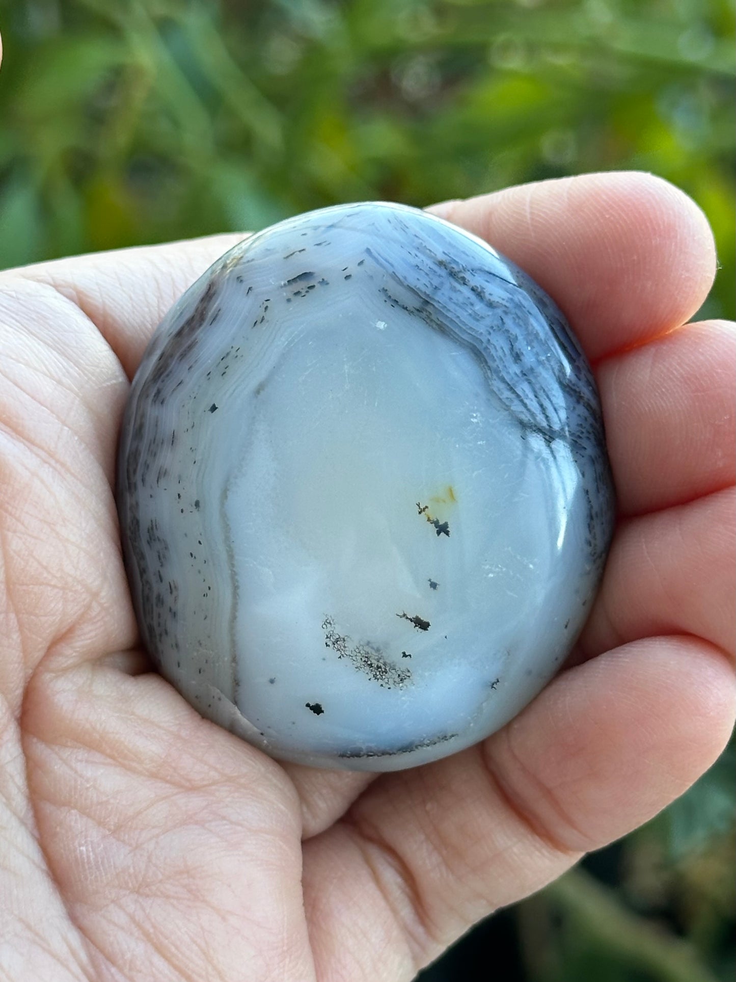 Dendritic Agate Palm Stone