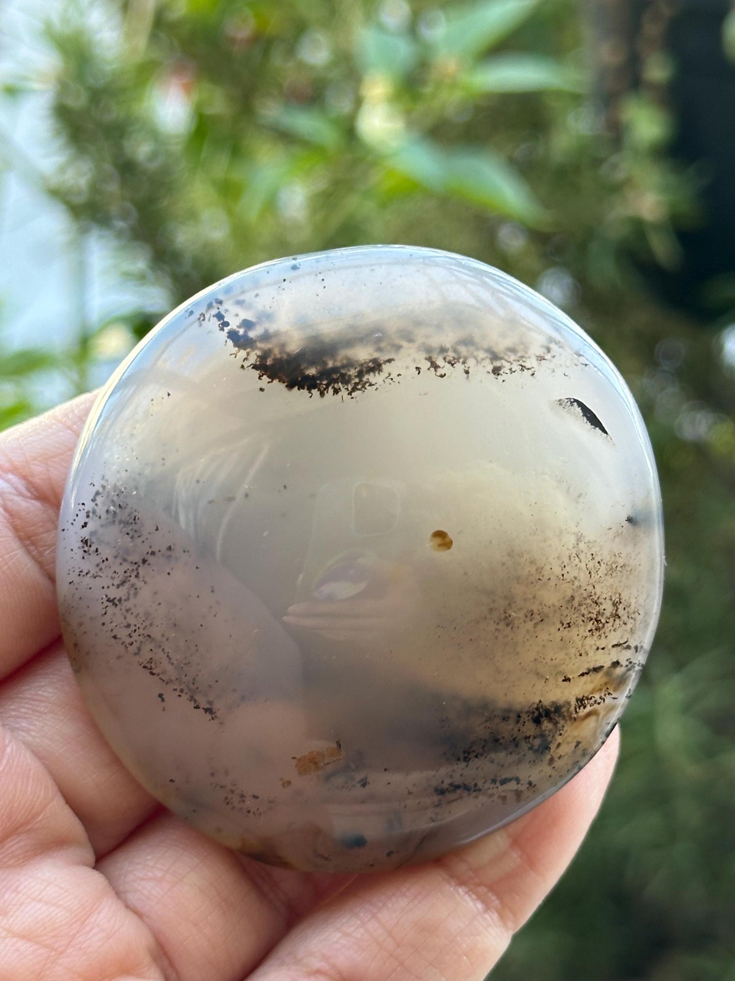 Dendritic Agate Palm Stone