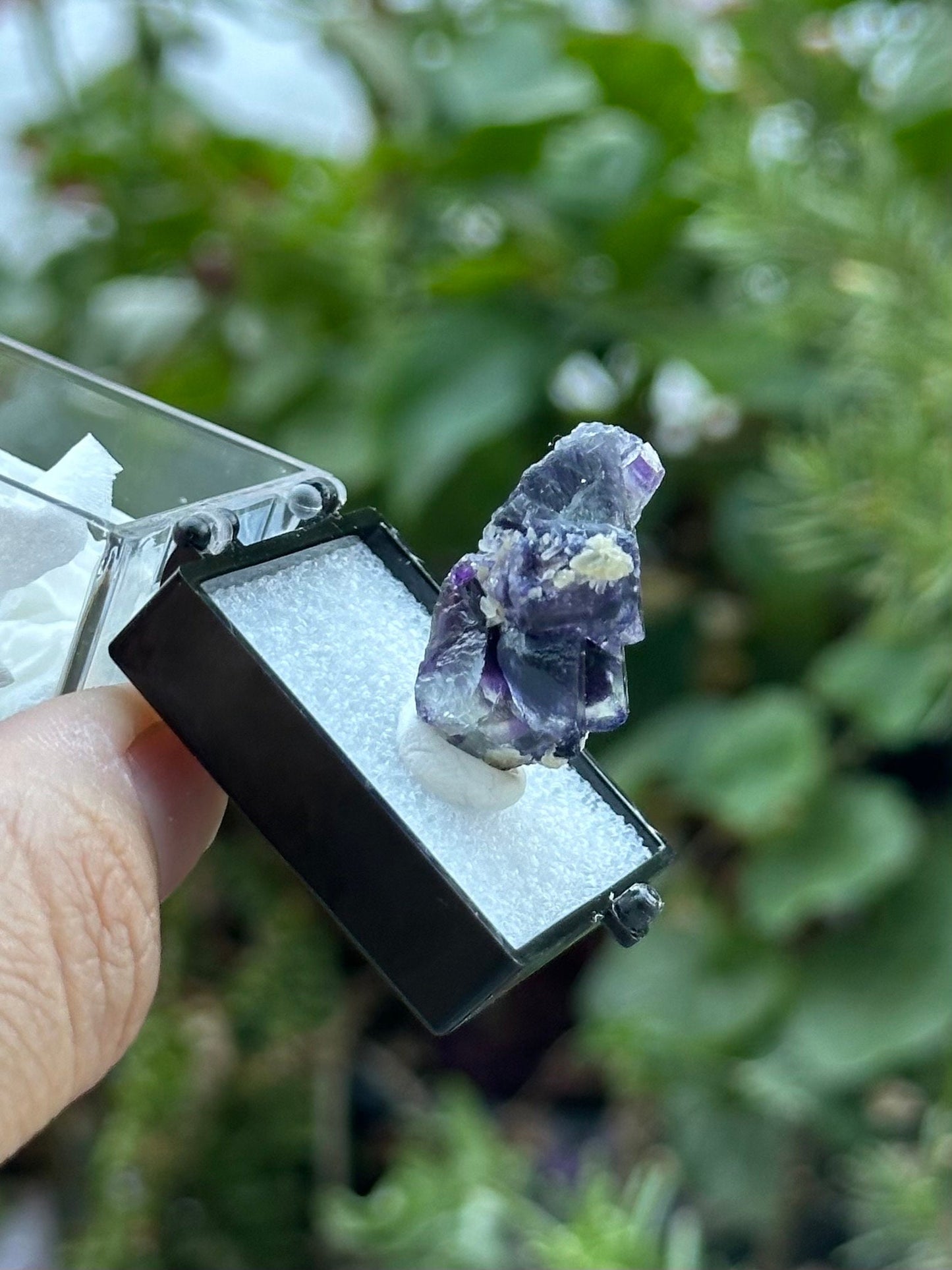 Fluorite Specimen in a perky box from the Yindu Mine, Inner Mongolia, China