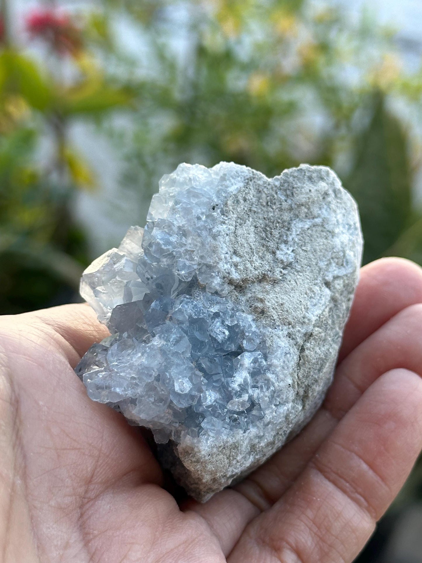 Celestite Cluster