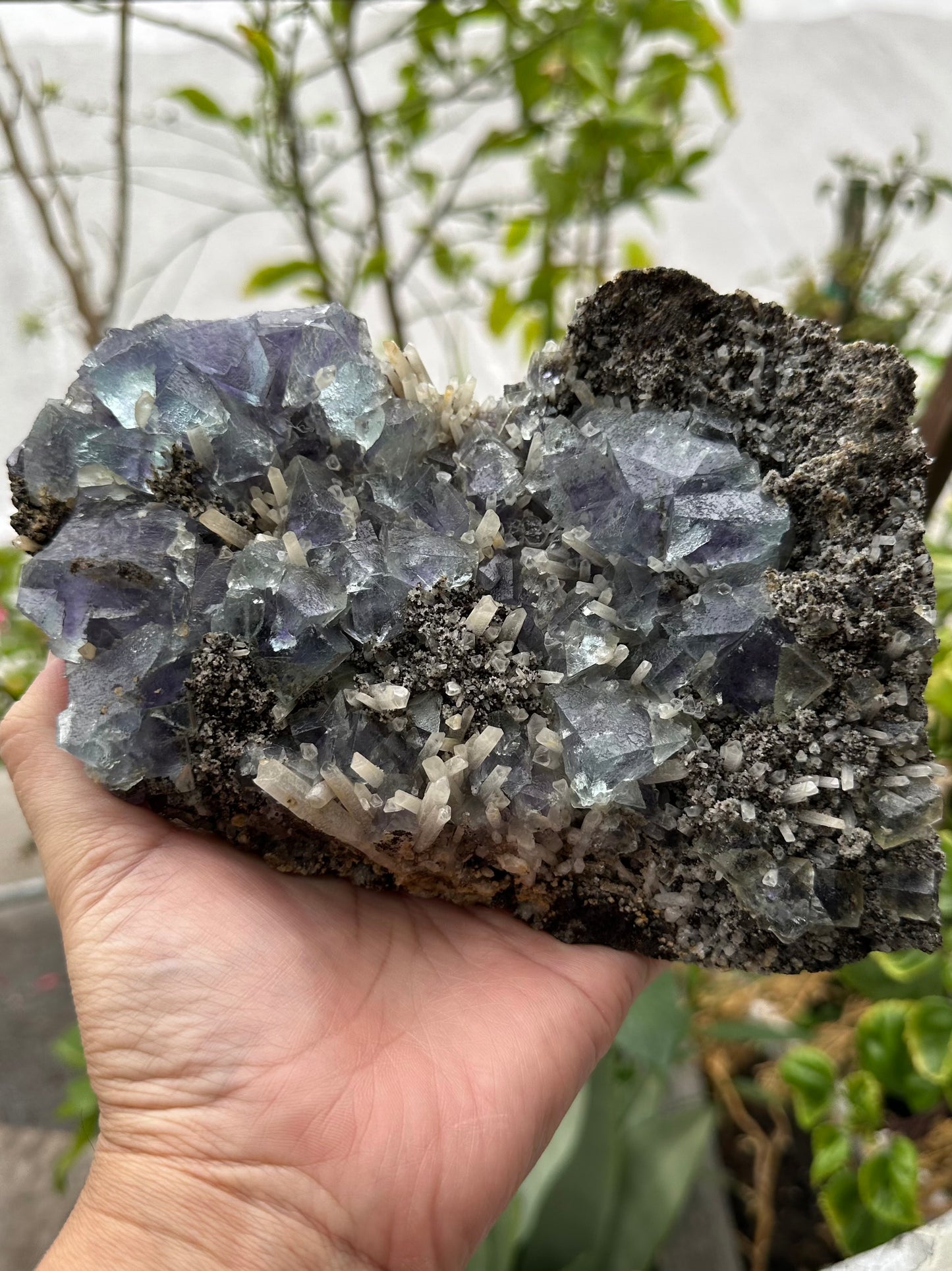 Yindu Flourite with Quartz on Matrix