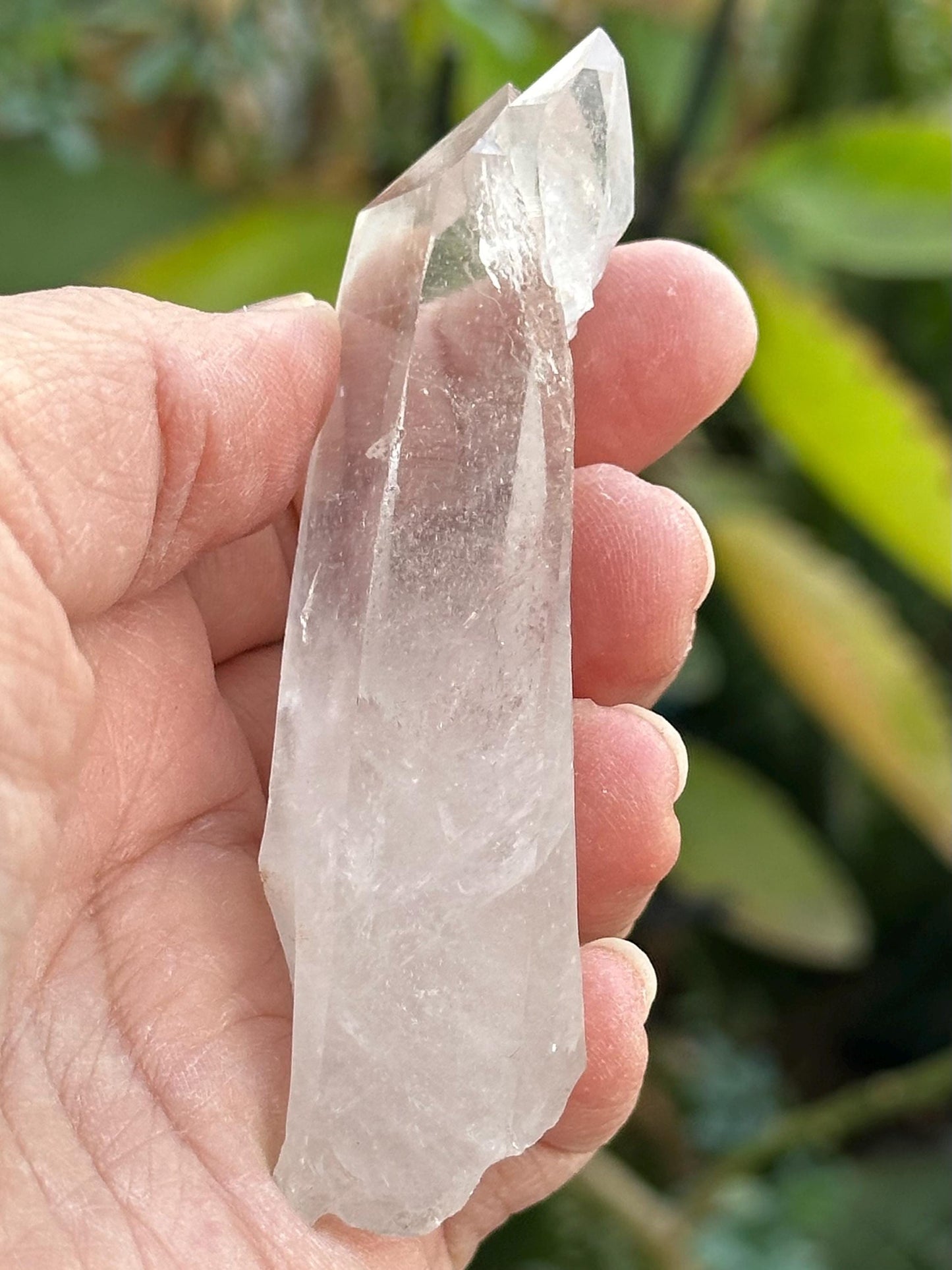 Lemurian Quartz