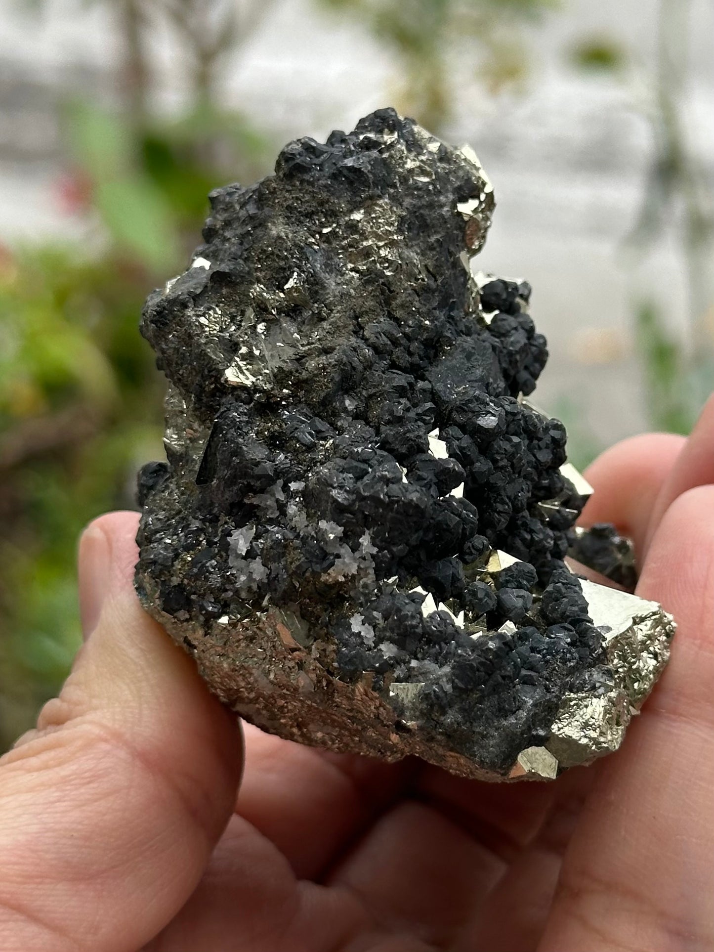 Pyrite Specimen from the Huanzala Mine, Peru